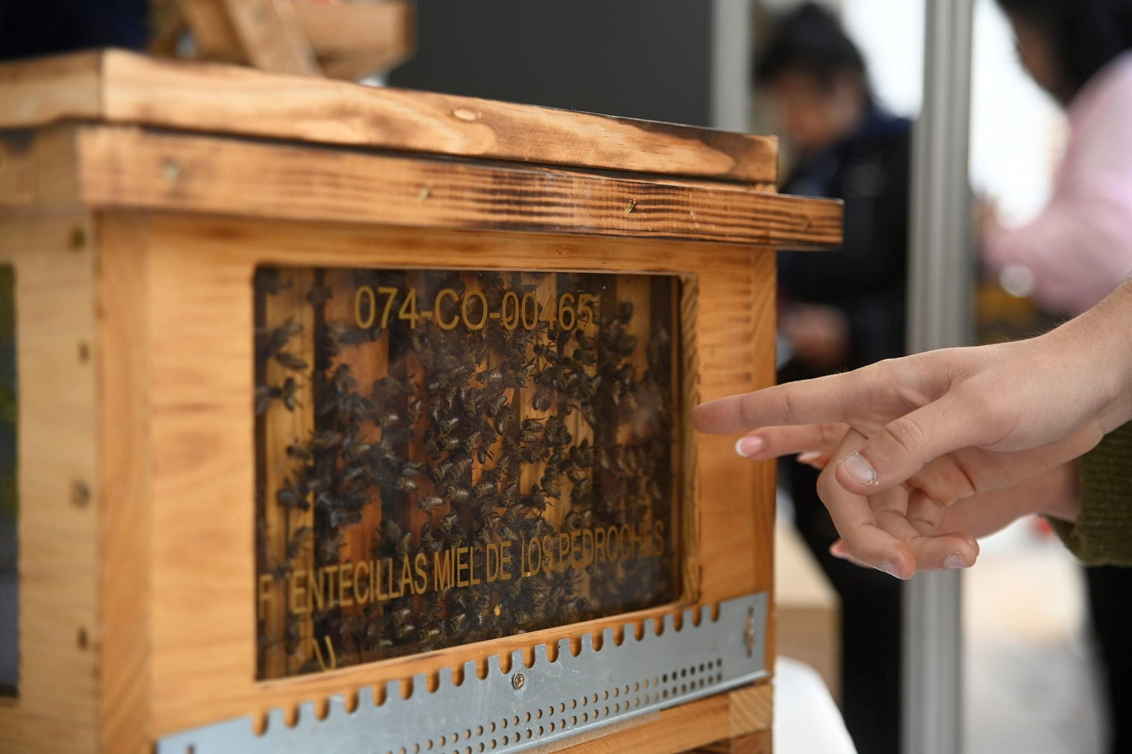 Un recorrido por Expomiel 2025