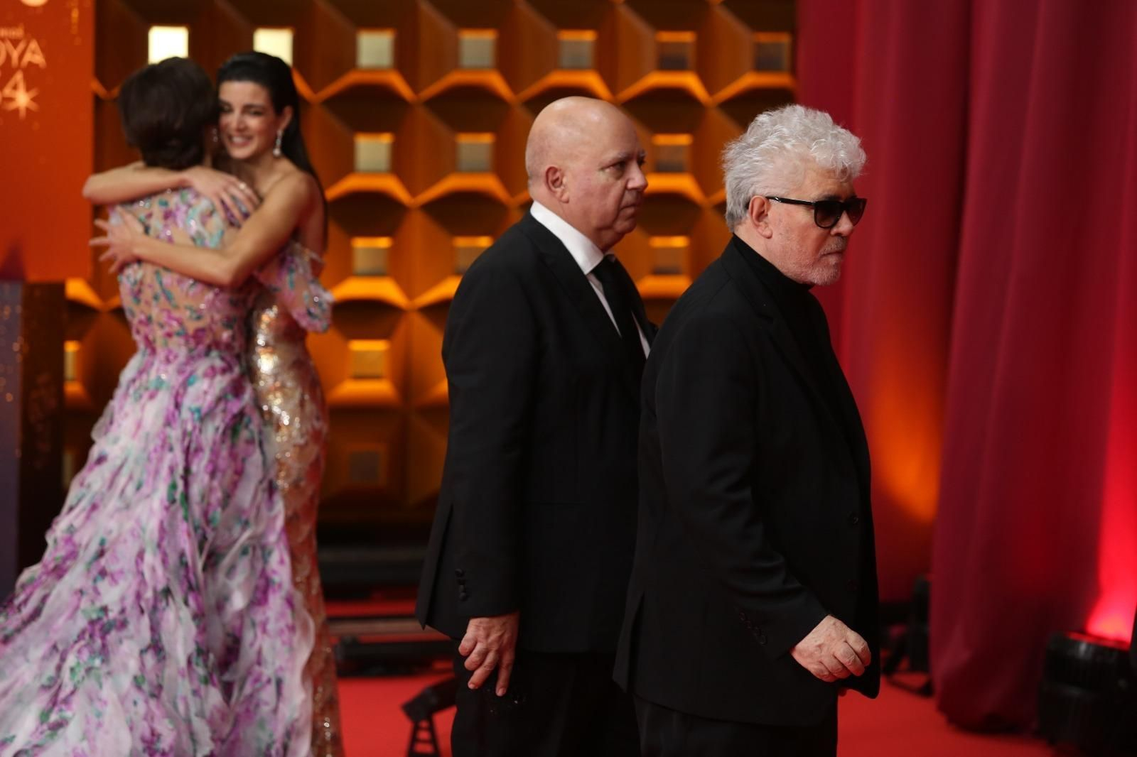 Pedro Almodóbar en la alfombra roja de los Goya en Málaga.
