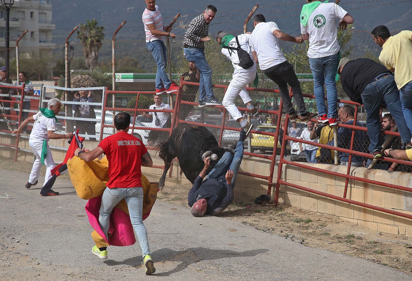 El Toro Embola deja dos heridos en Los Barrios