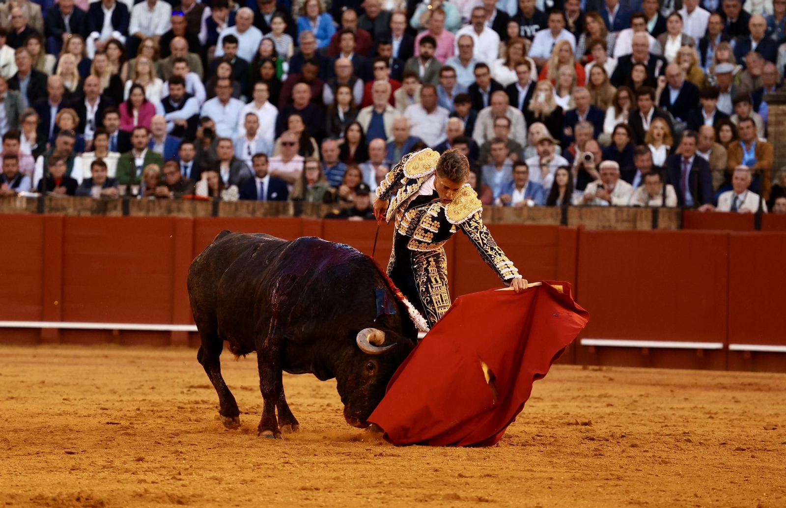 Las imágenes de la corrida de toros