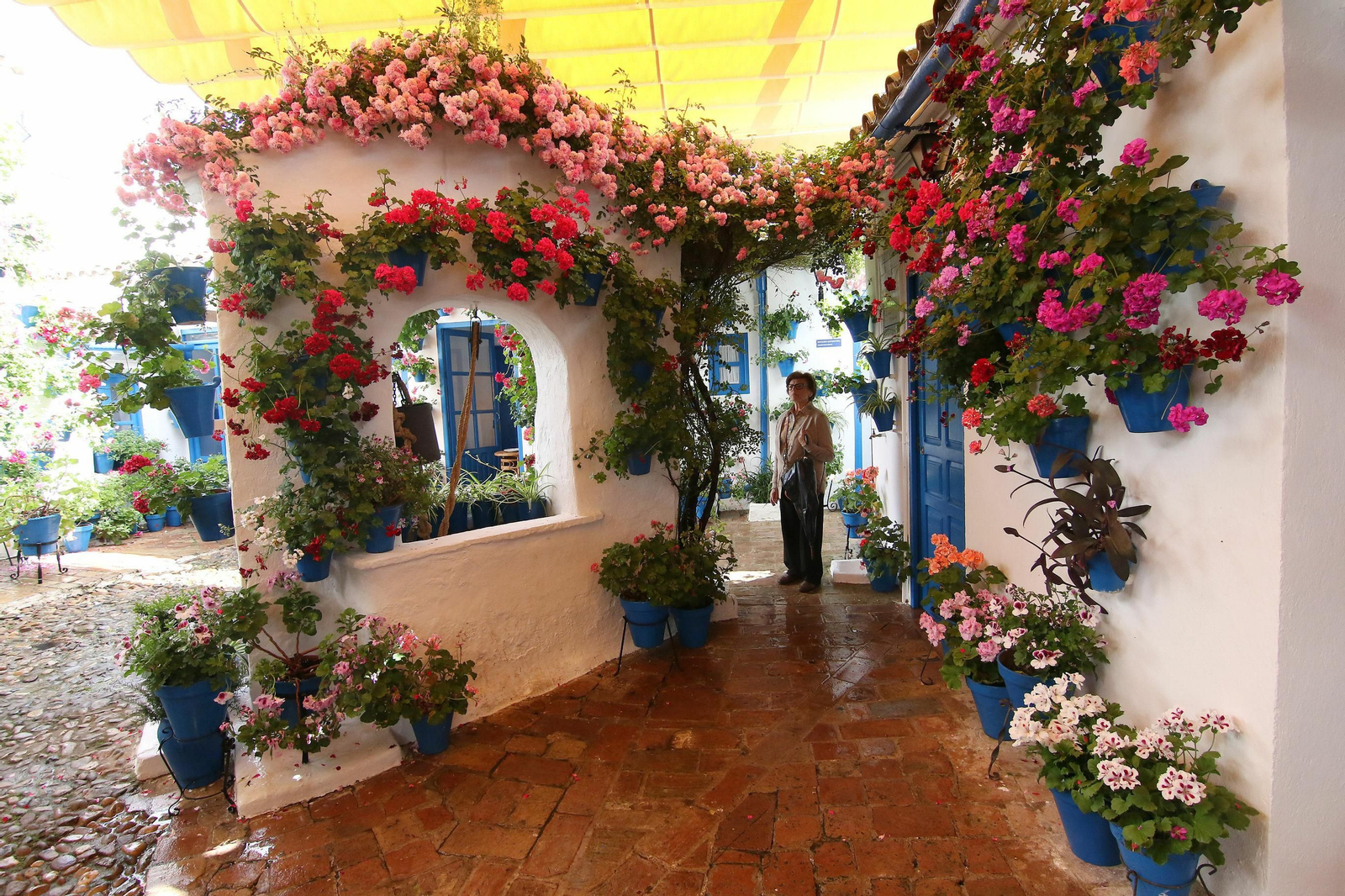 Una mujer visita el patio de la calle Trueque.