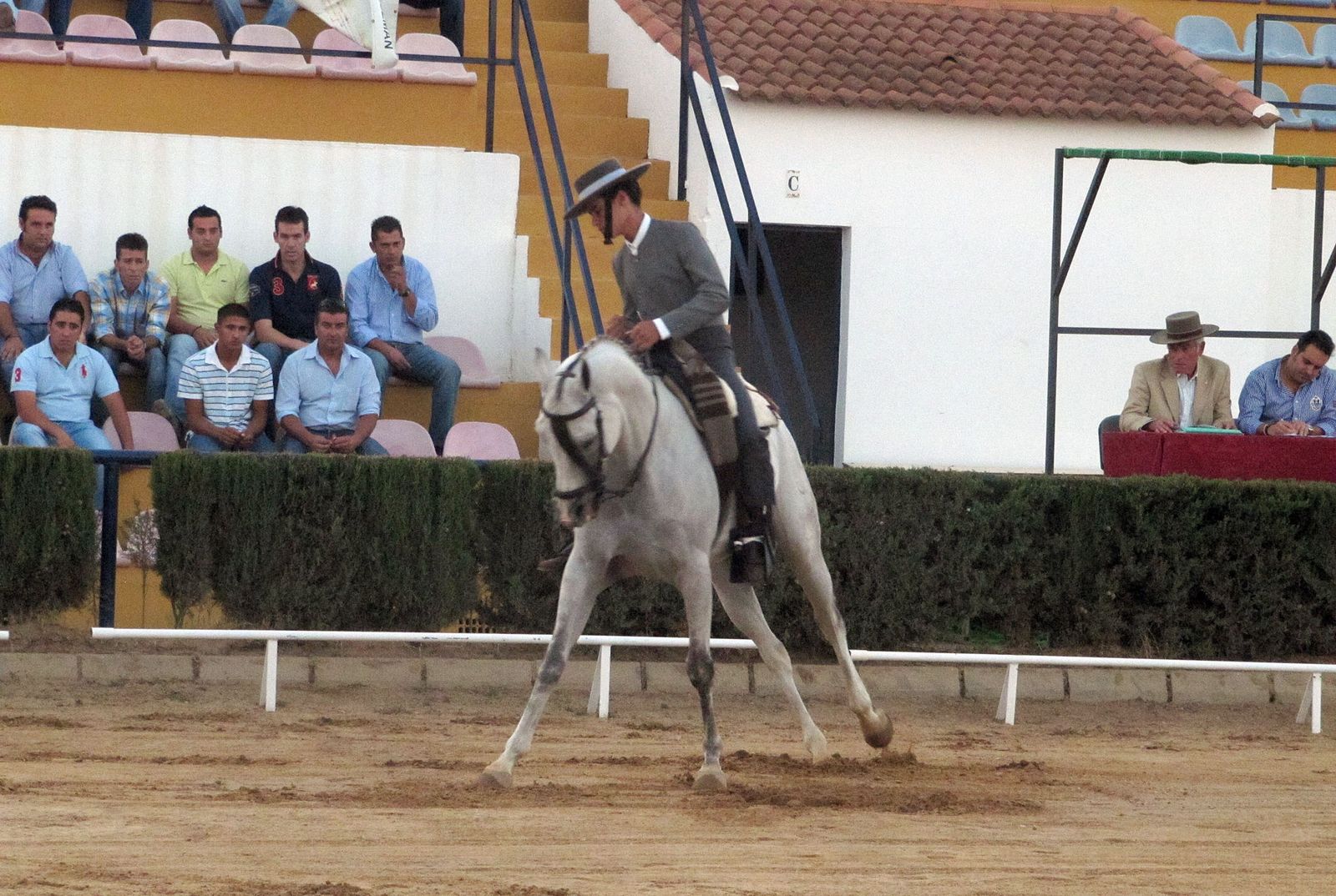 La doma vaquera estará presente durante los días 2 y 3 de agosto en Los Palacios y Villafranca.