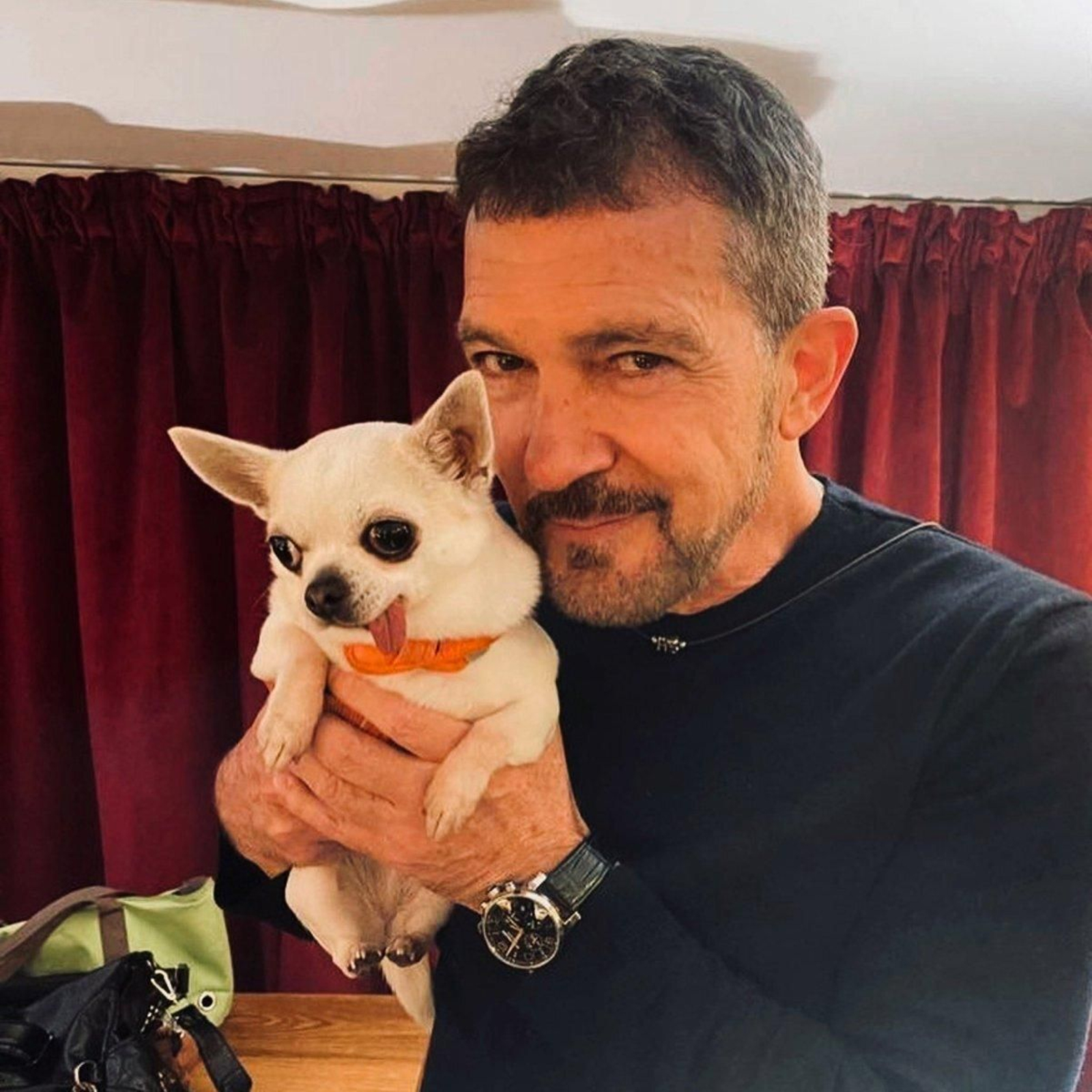 Antonio Banderas con Lucille, la mascota del 'influencer' Lolito que se inmortaliza con famosos.