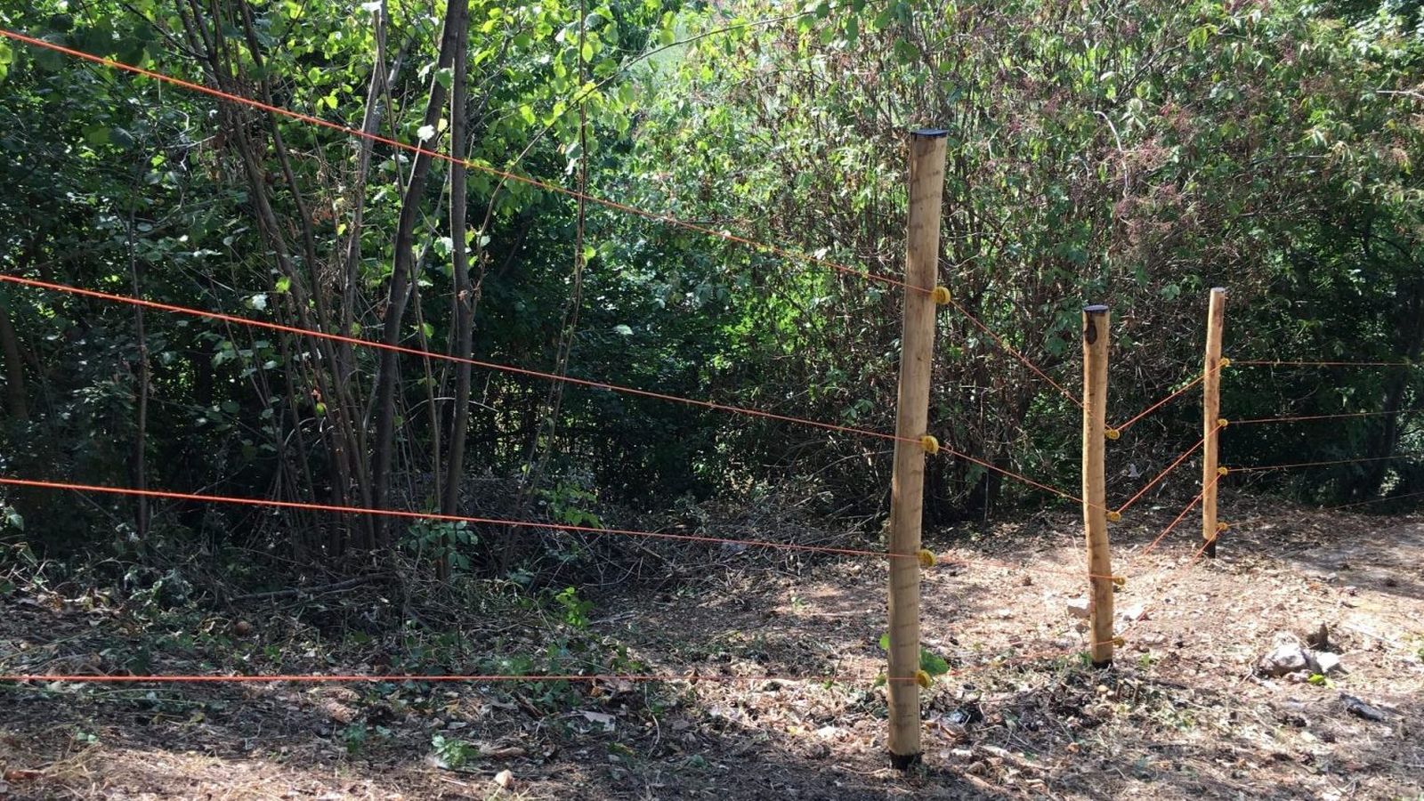 Pastores Eléctricos de Gemi Elettronica: eficiencia, control y protección para espacios agrícolas y profesionales