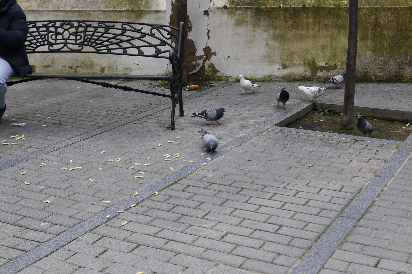 Imágenes de ambiente del martes 4 de marzo en Huelva