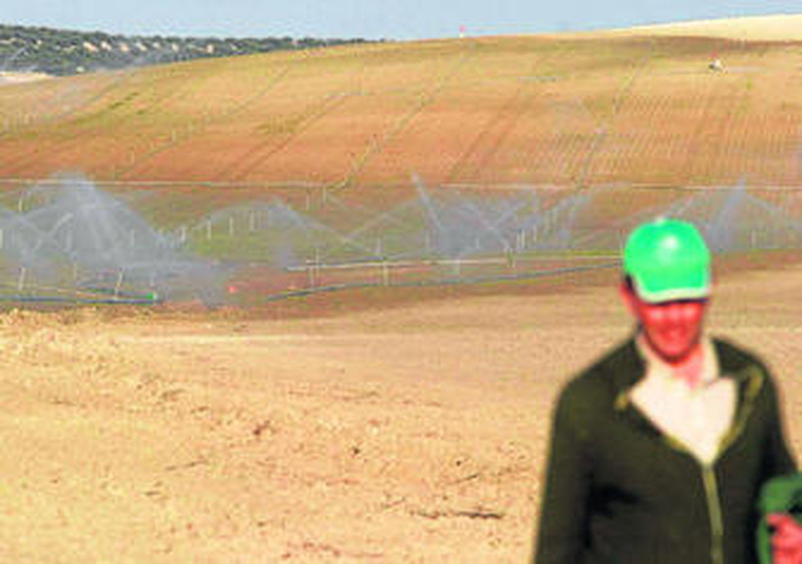 Regadío en la provincia de Córdoba.