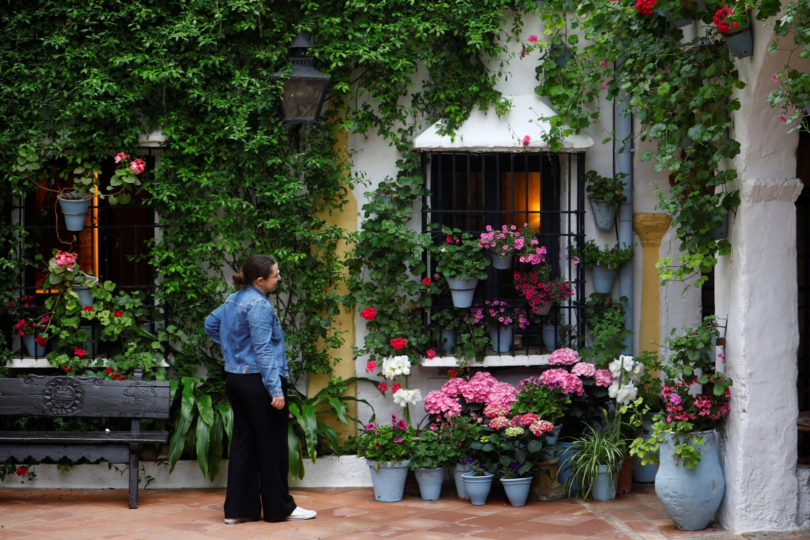 Los patios de Córdoba de la ruta Judería-San Francisco, en imágenes
