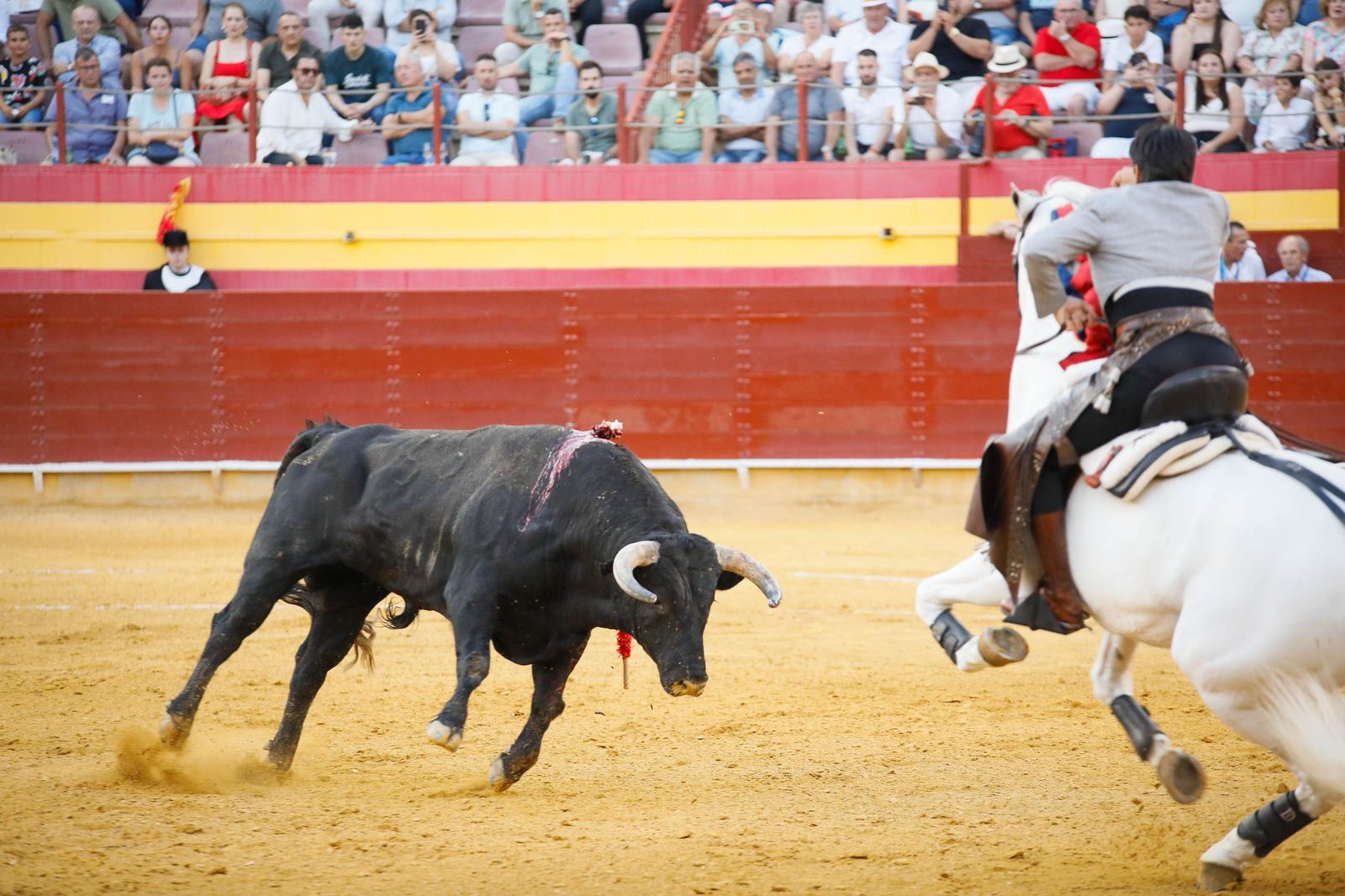 Imágenes de la corrida de toros en Roquetas de Mar