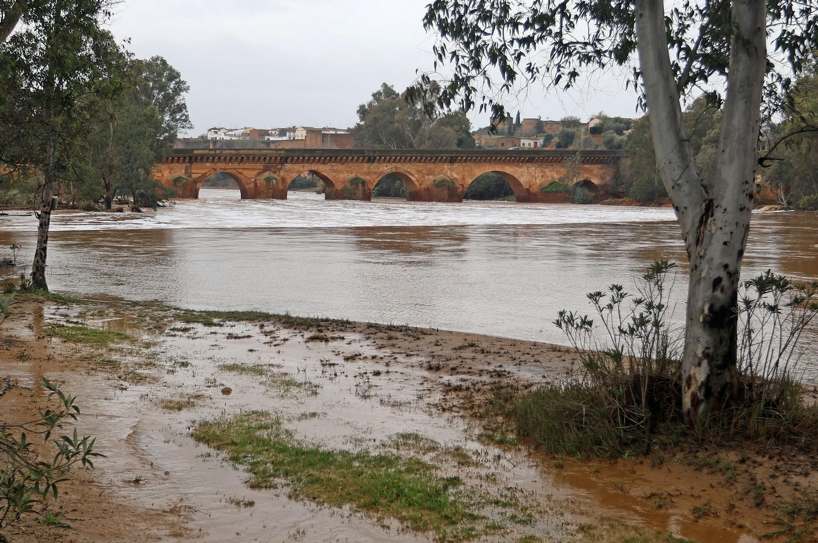 Imágenes del río Tinto a su paso por Niebla tras la borrasca Garoé