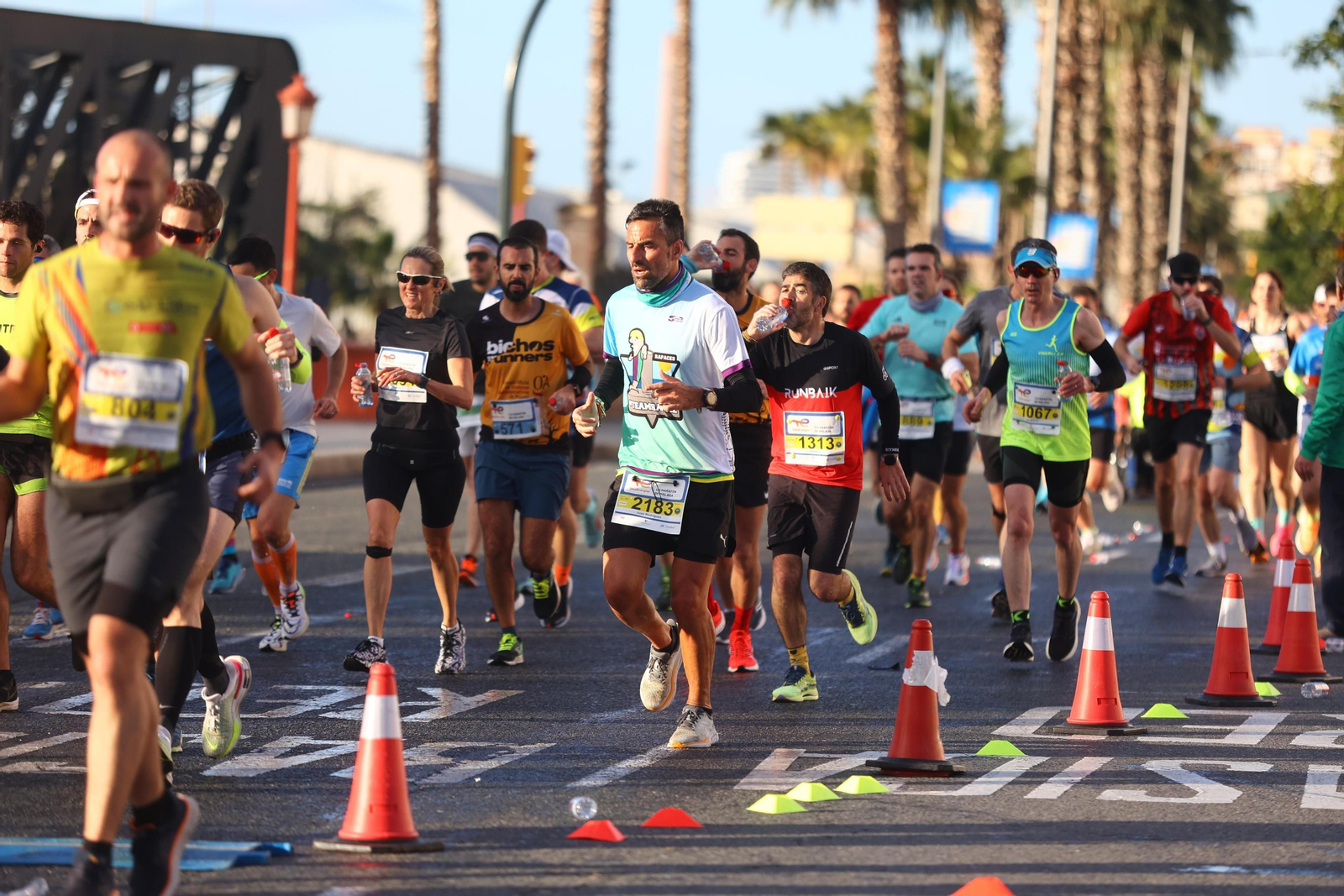 Las mejores fotos de la Media Maratón de Málaga 2024 Las mejores fotos de la Media Maratón de Málaga 2024