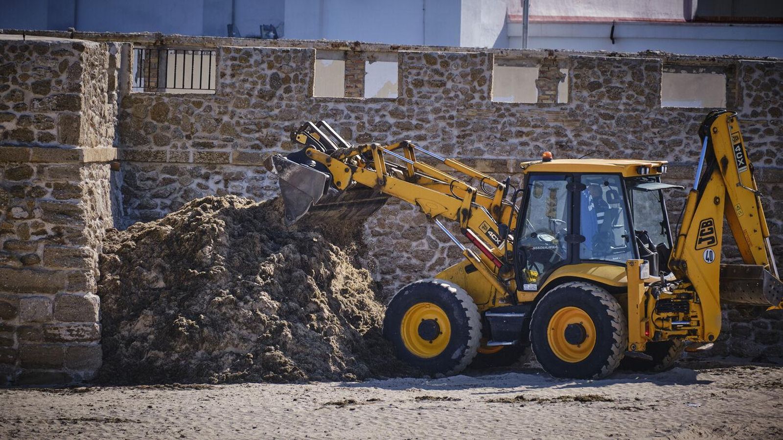 Retirada de algas en una playa gaditana. Retirada de algas en una playa gaditana.