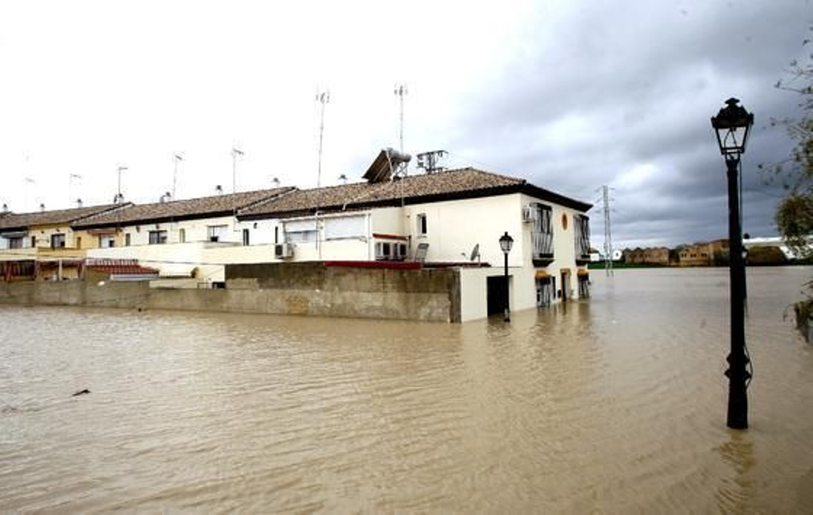 El Río Guadalquivir se desborda a su paso por Lora del Río.

Foto: Eduardo Abad (EFE)