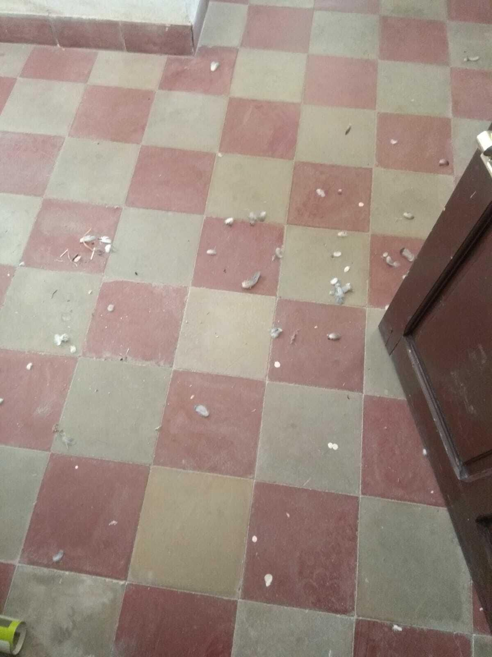 Una imagen del suelo de los archivos.