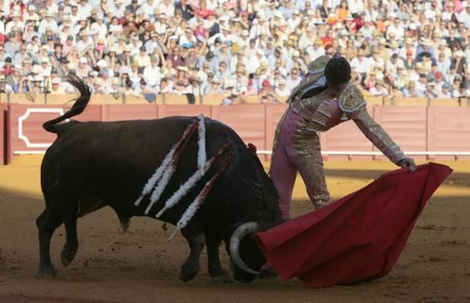 El sevillano Daniel Luque con el tercero de la tarde en la treceava del abono de La Maestranza.

Foto: Juan Carlos Muñoz