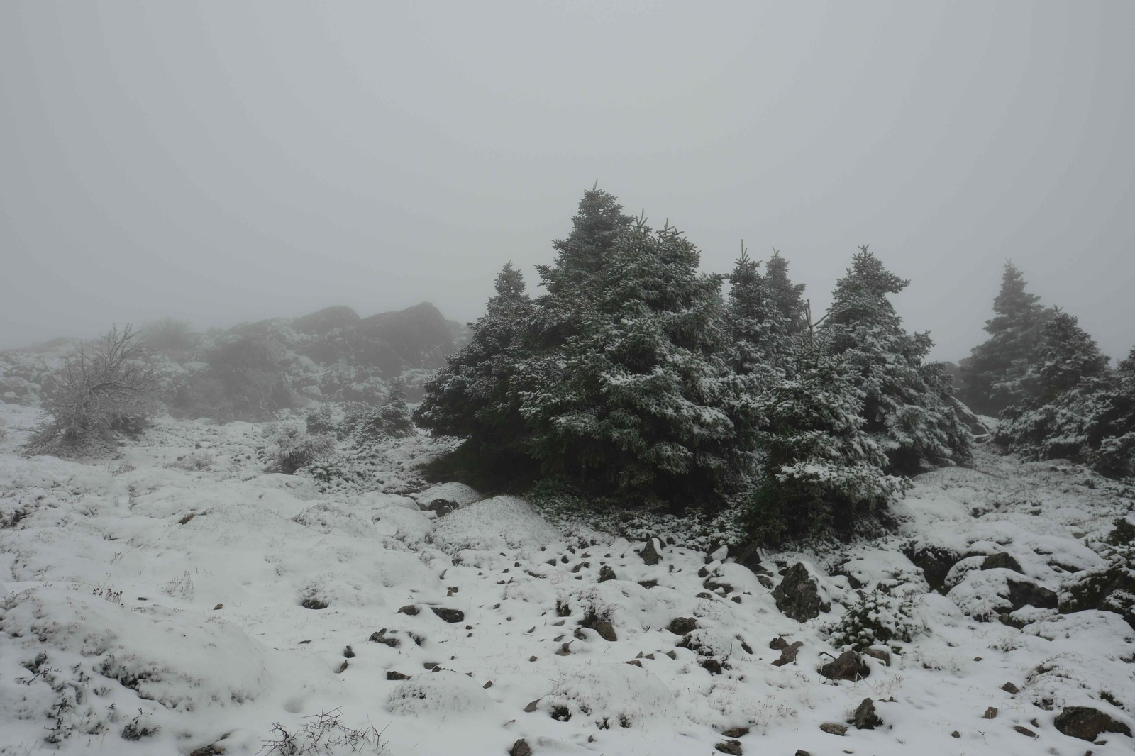 Estampa invernal en al Parque Nacional Sierra de las Nieves, en imágenes