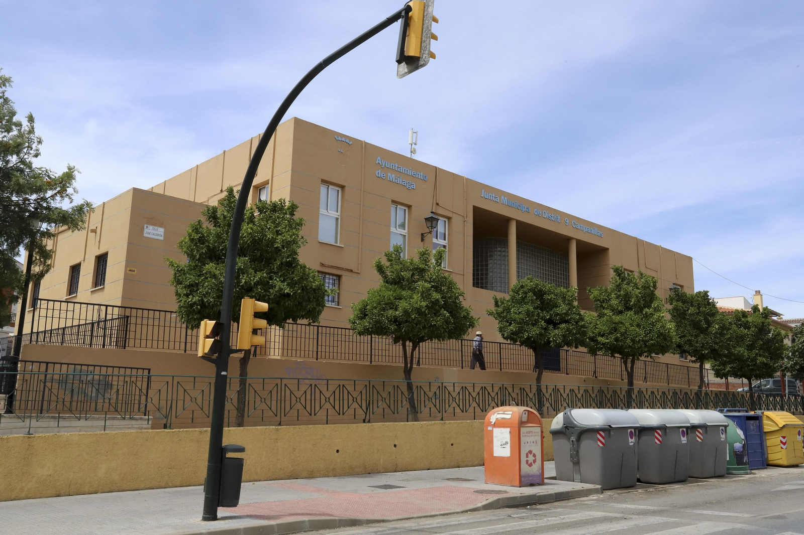 Campanillas en fotos