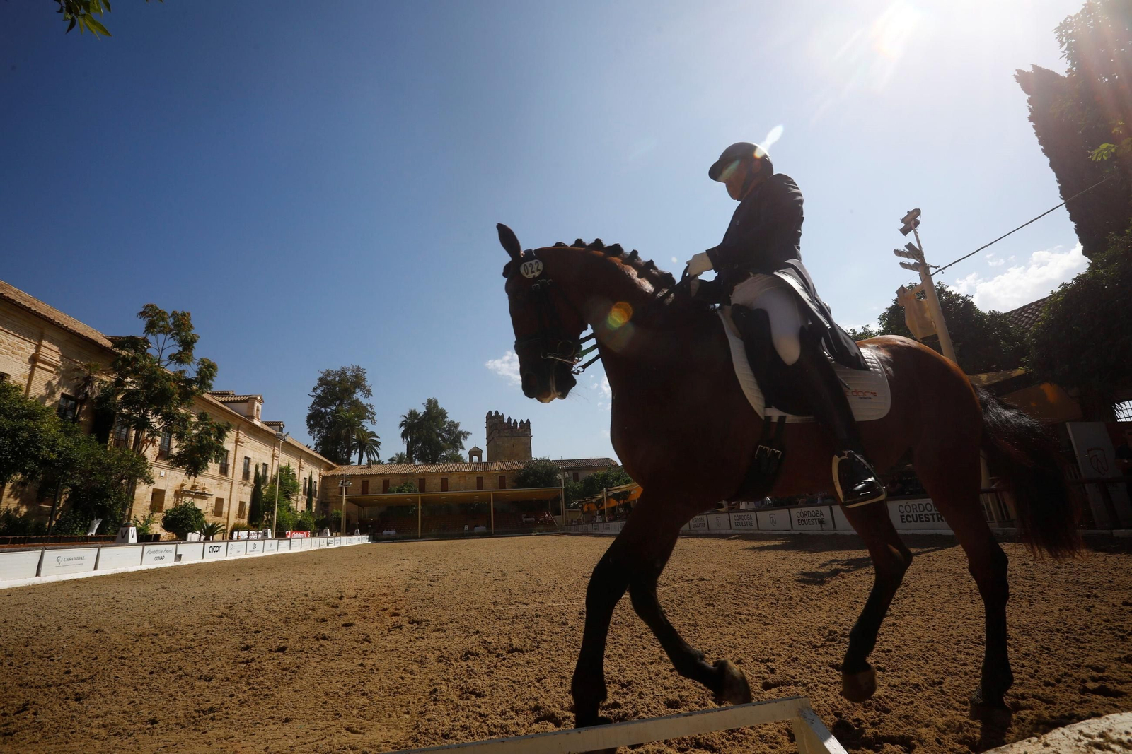 El concurso nacional de Doma Clásica en las Caballerizas Reales de Córdoba
