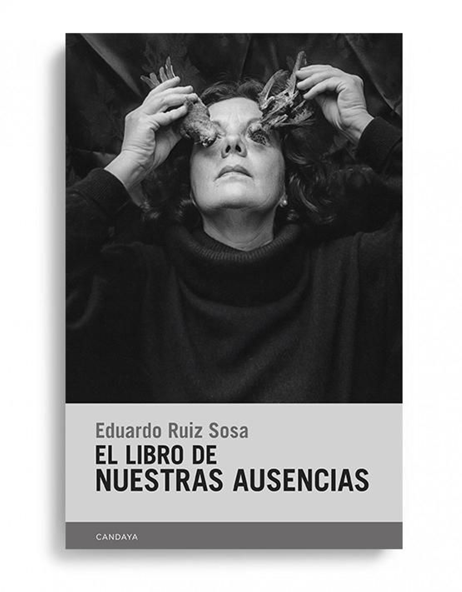 Portada del libro.