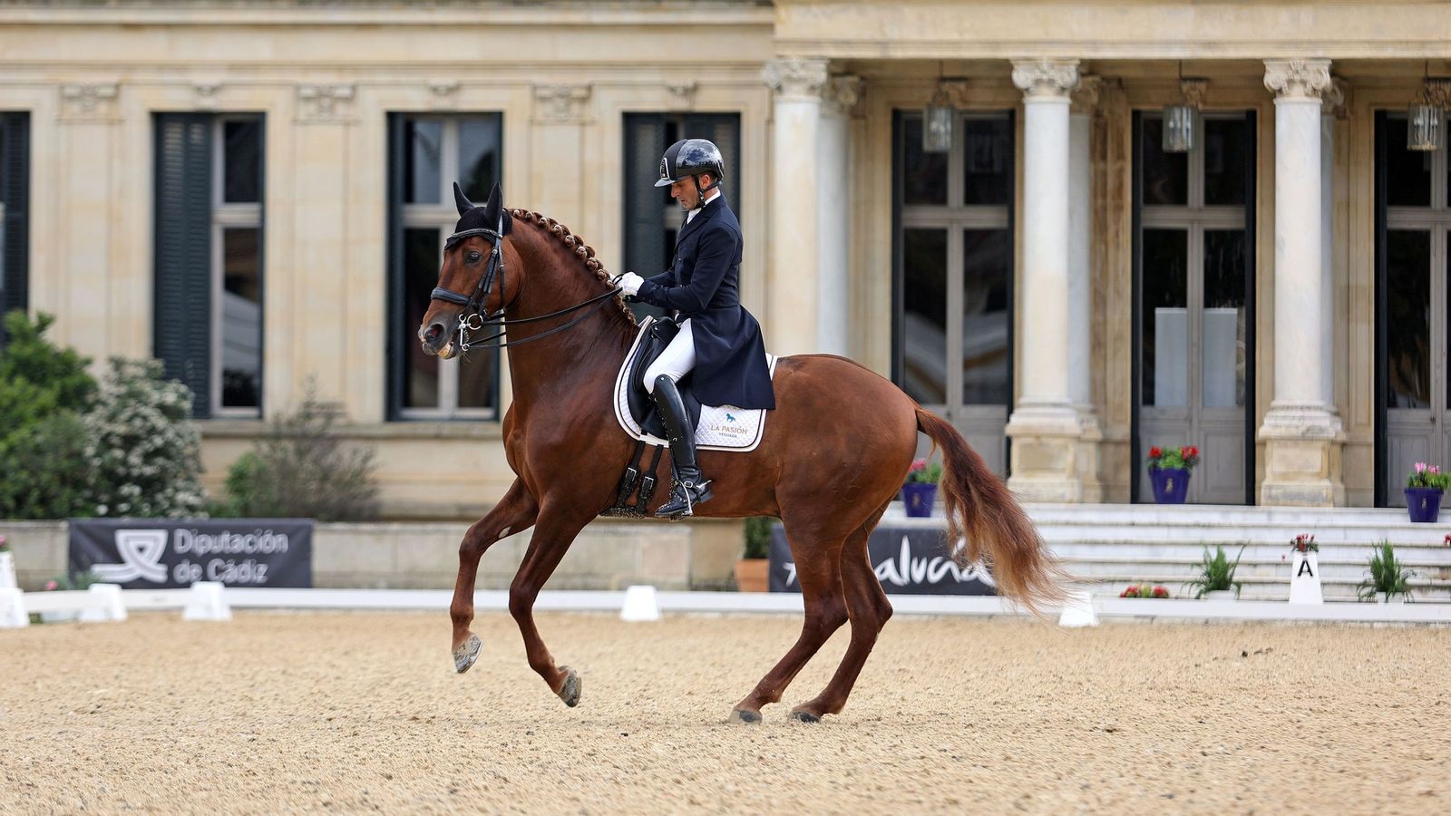 Concurso Internacional de Doma Clásica en La Real Escuela de Jerez