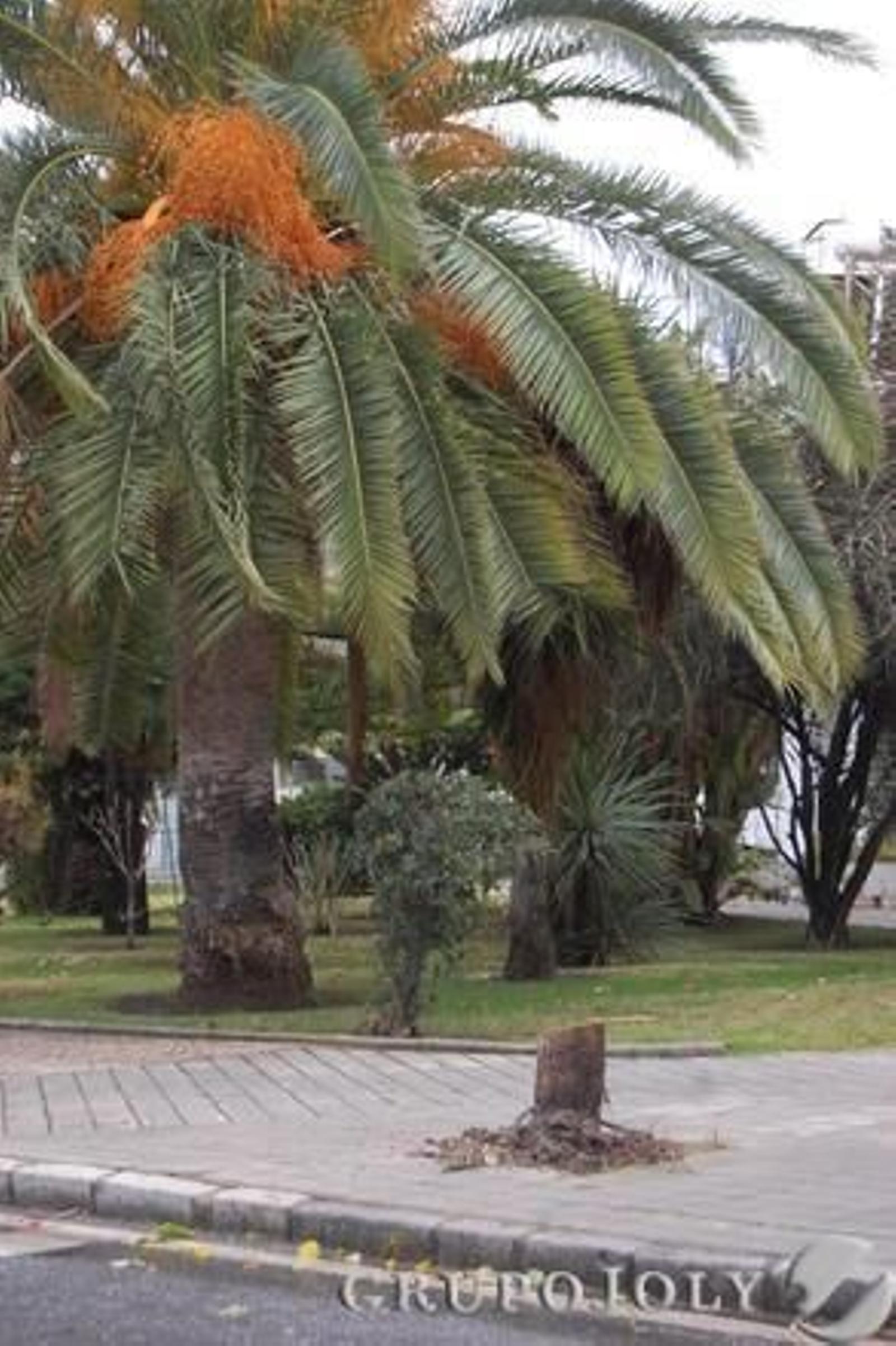 Foto: Rosa Fernandez