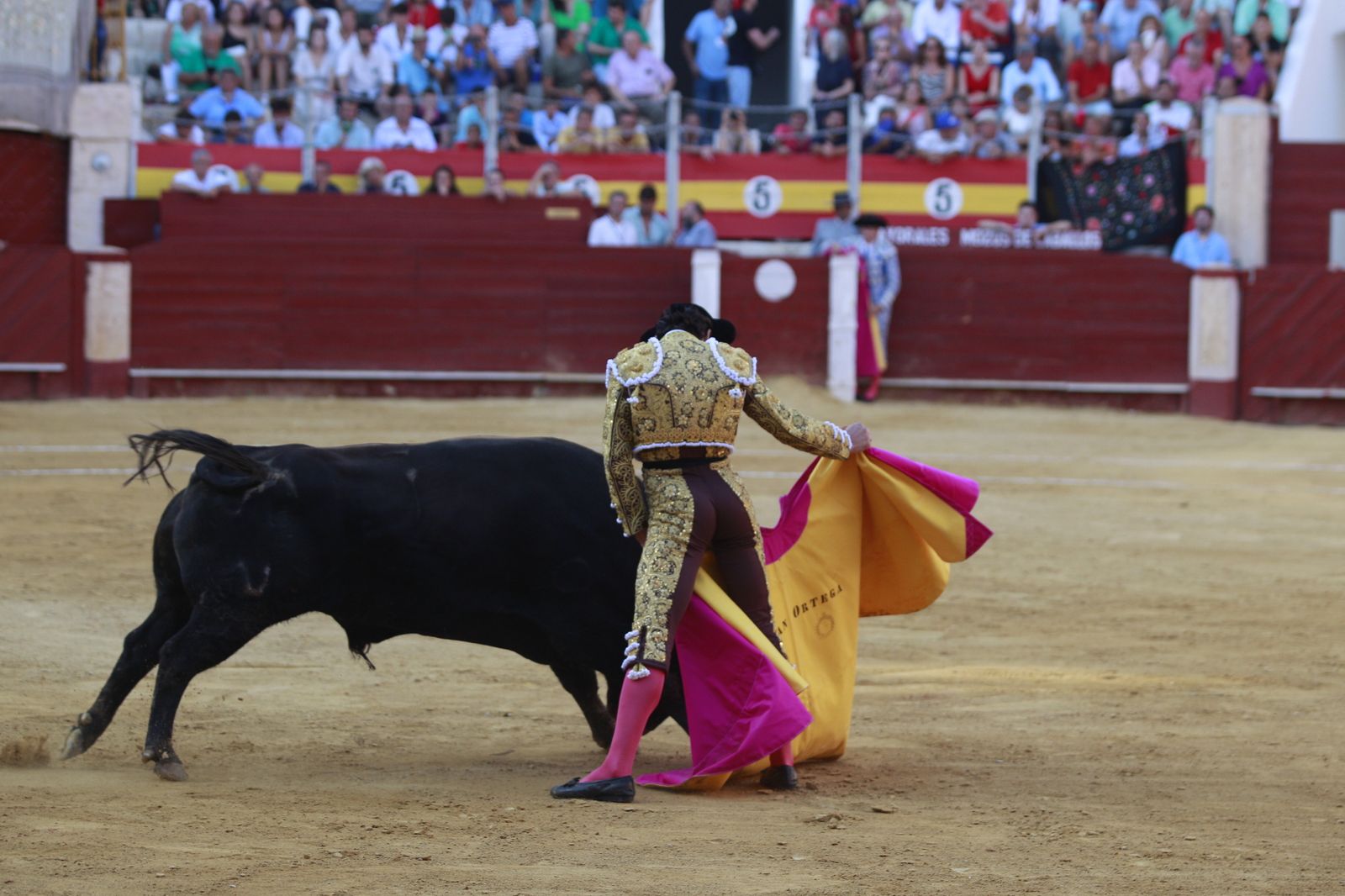 Imágenes del triunfo del torero almeriense Jorge Martínez el día de su alternativa