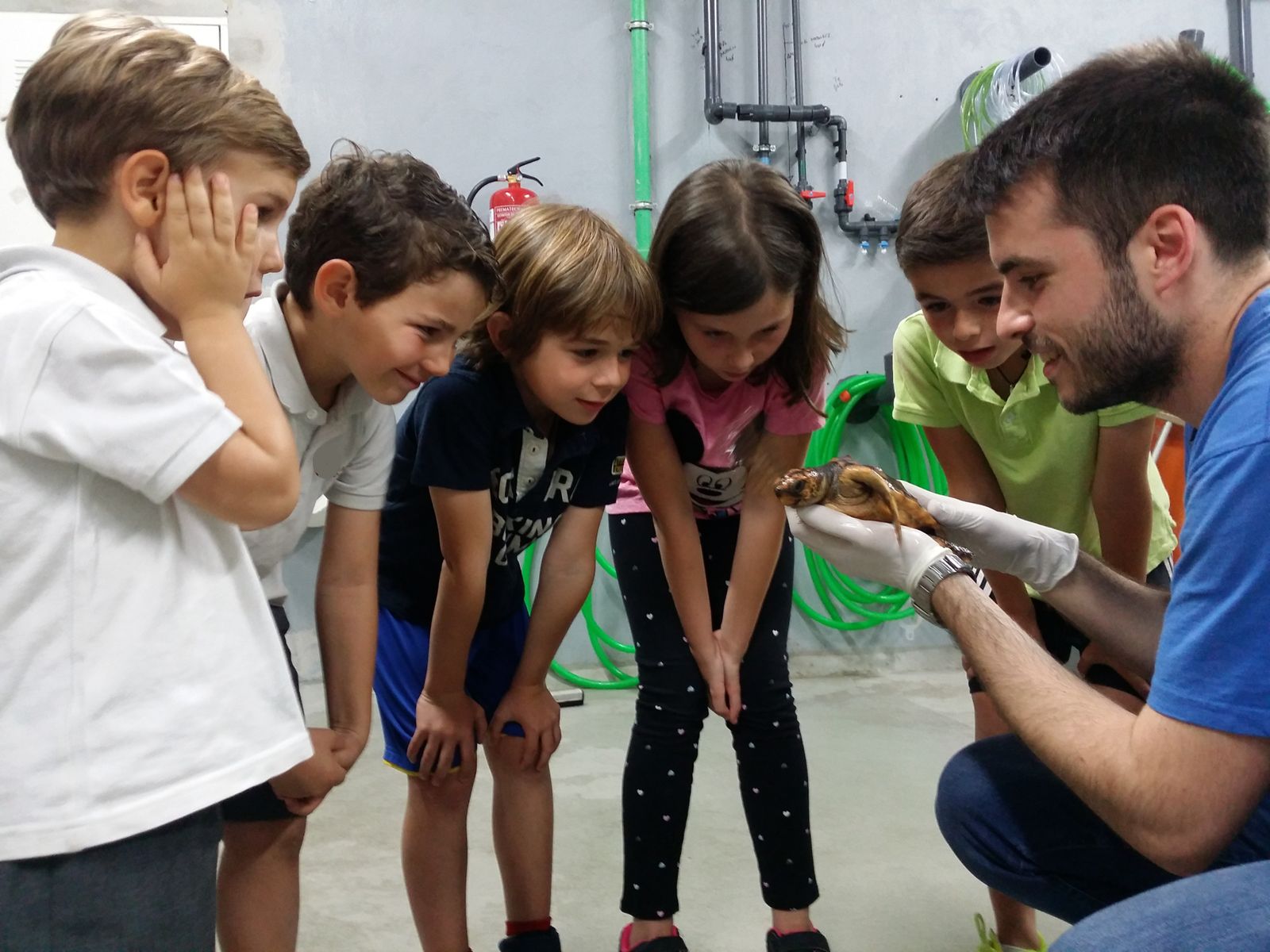 Niños contemplan una cría de tortuga marina en el Acuario de Sevilla.
