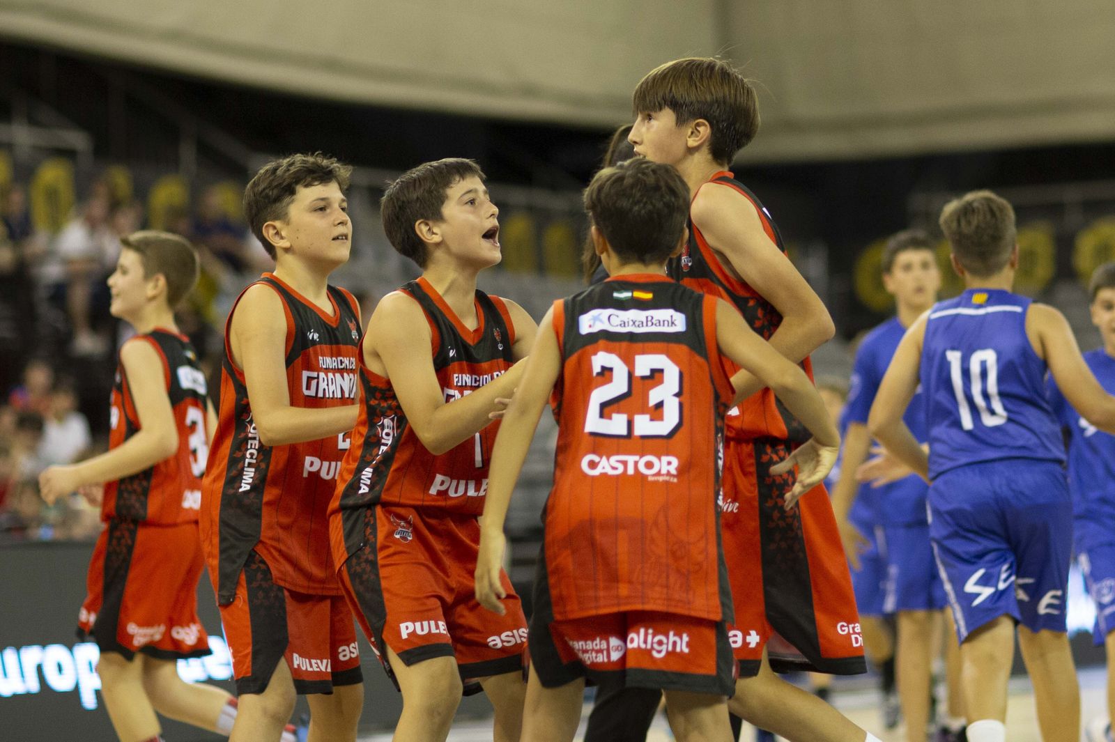 Encuéntrate en el partido del Fundación CB Granada de minibasket