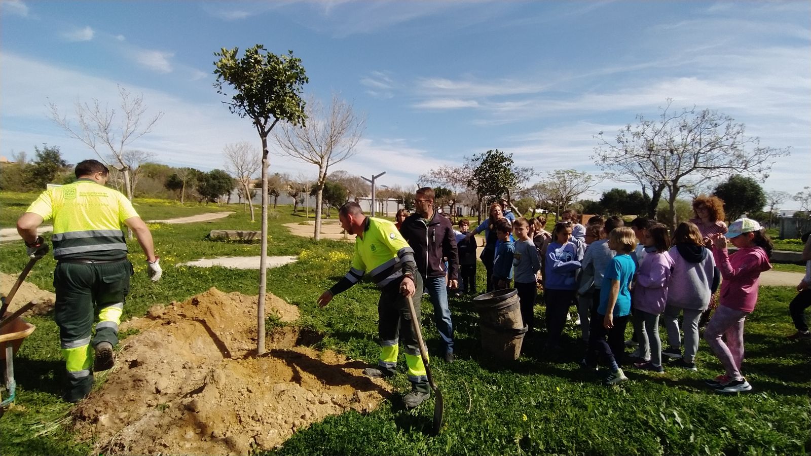 Así ha sido la plantación de árboles en el Cerro por alumnos del colegio Camposoto