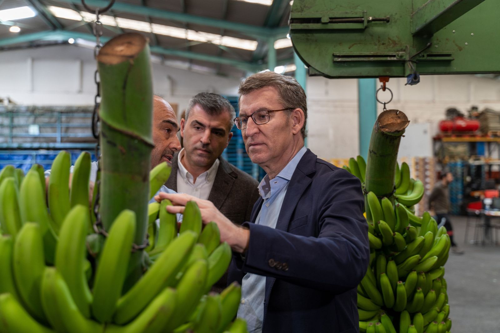 Alberto Núñez Feijóo.