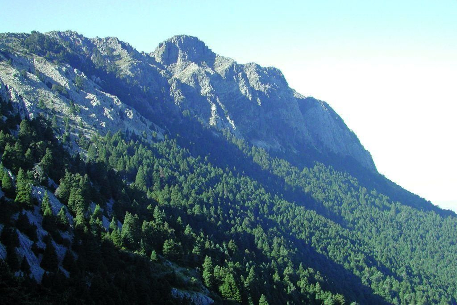 Parque Natural Sierra de Grazalema