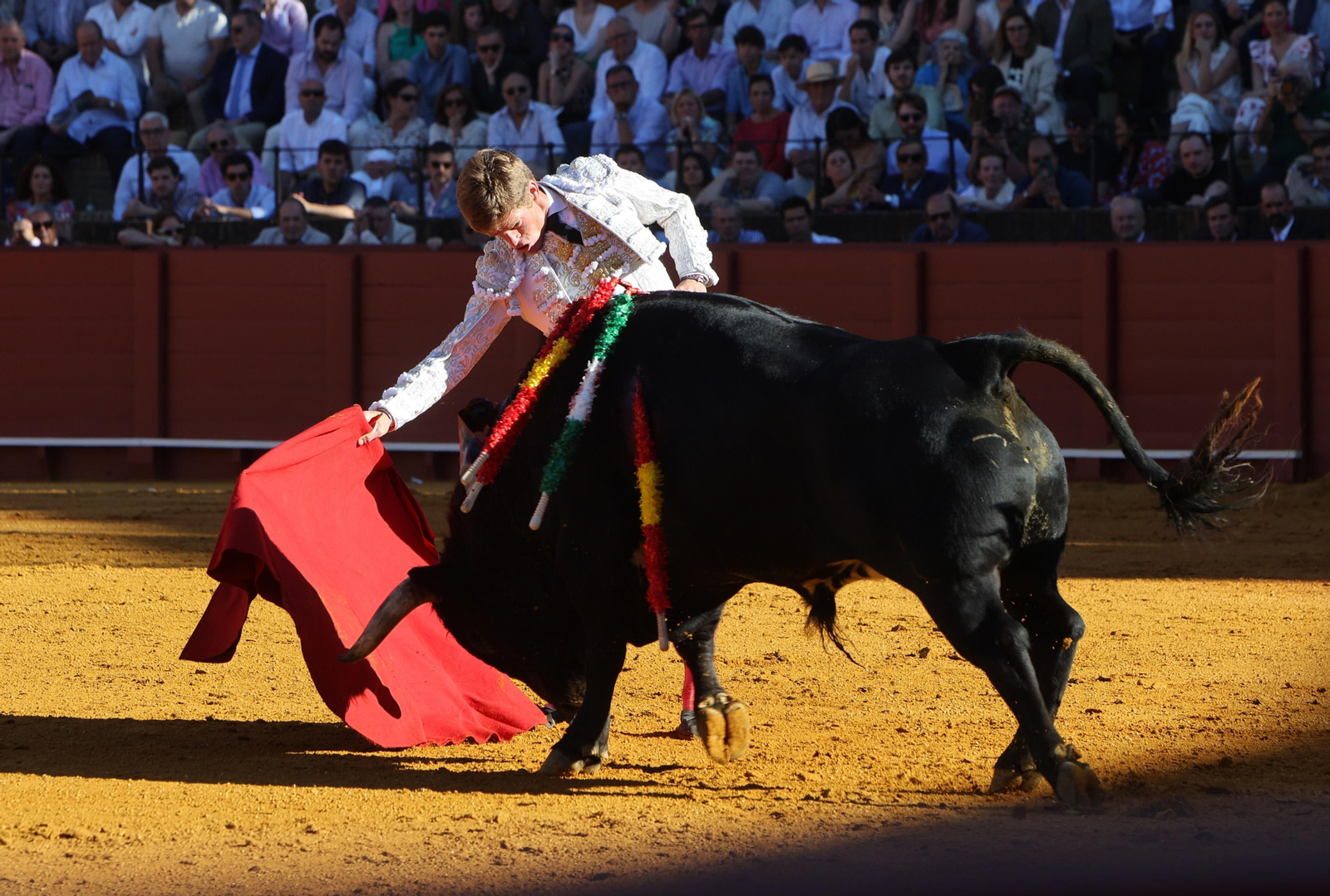 Las mejores imágenes de la corrida de hoy