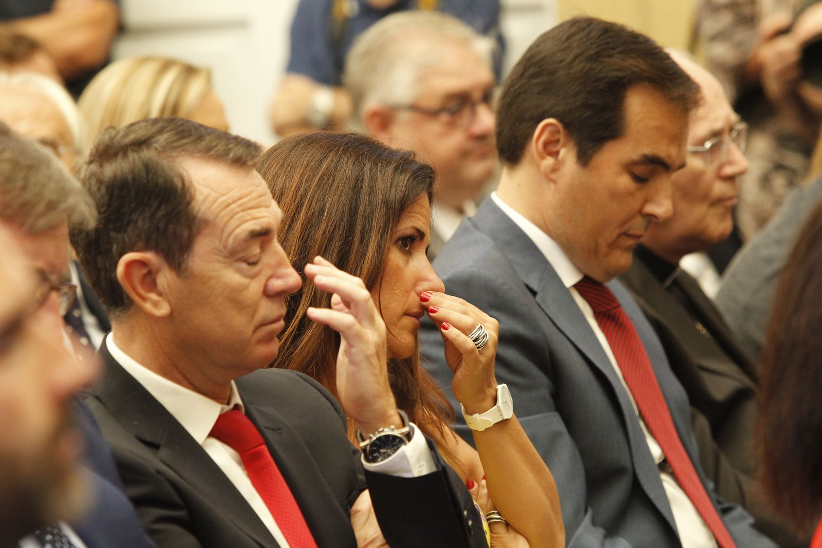 Pleno investidura Presidente Diputación de Almería. Javier Aureliano García