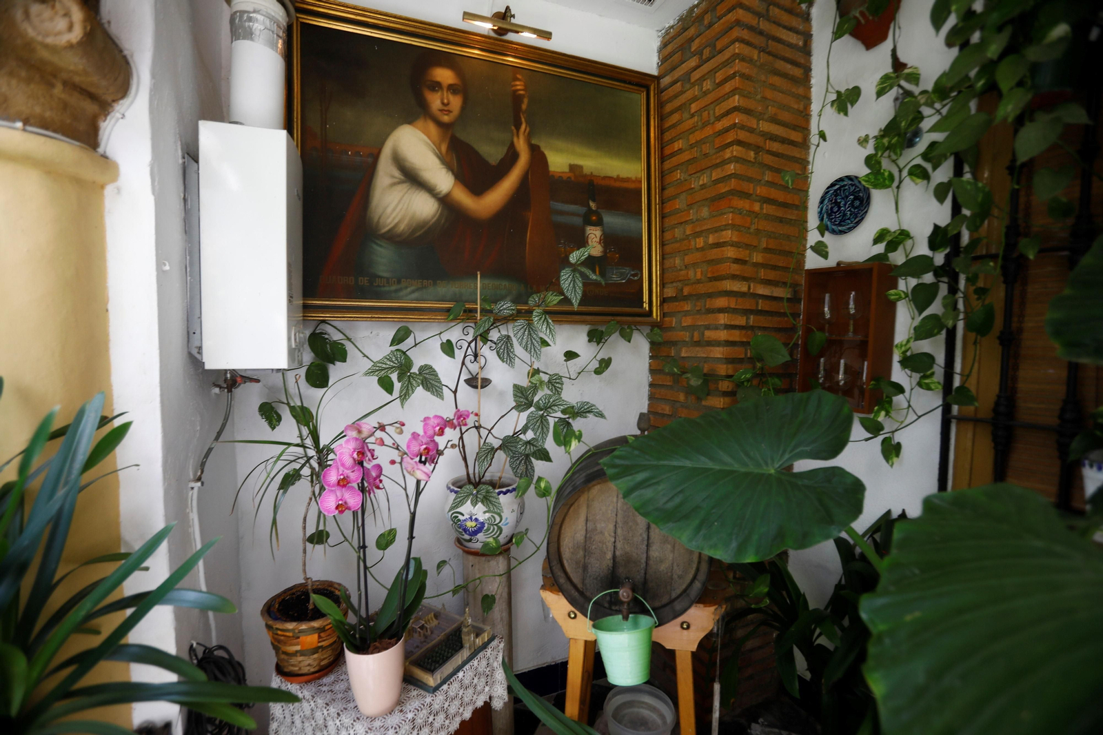 Los patios de Córdoba de la ruta Judería-San Francisco, en imágenes
