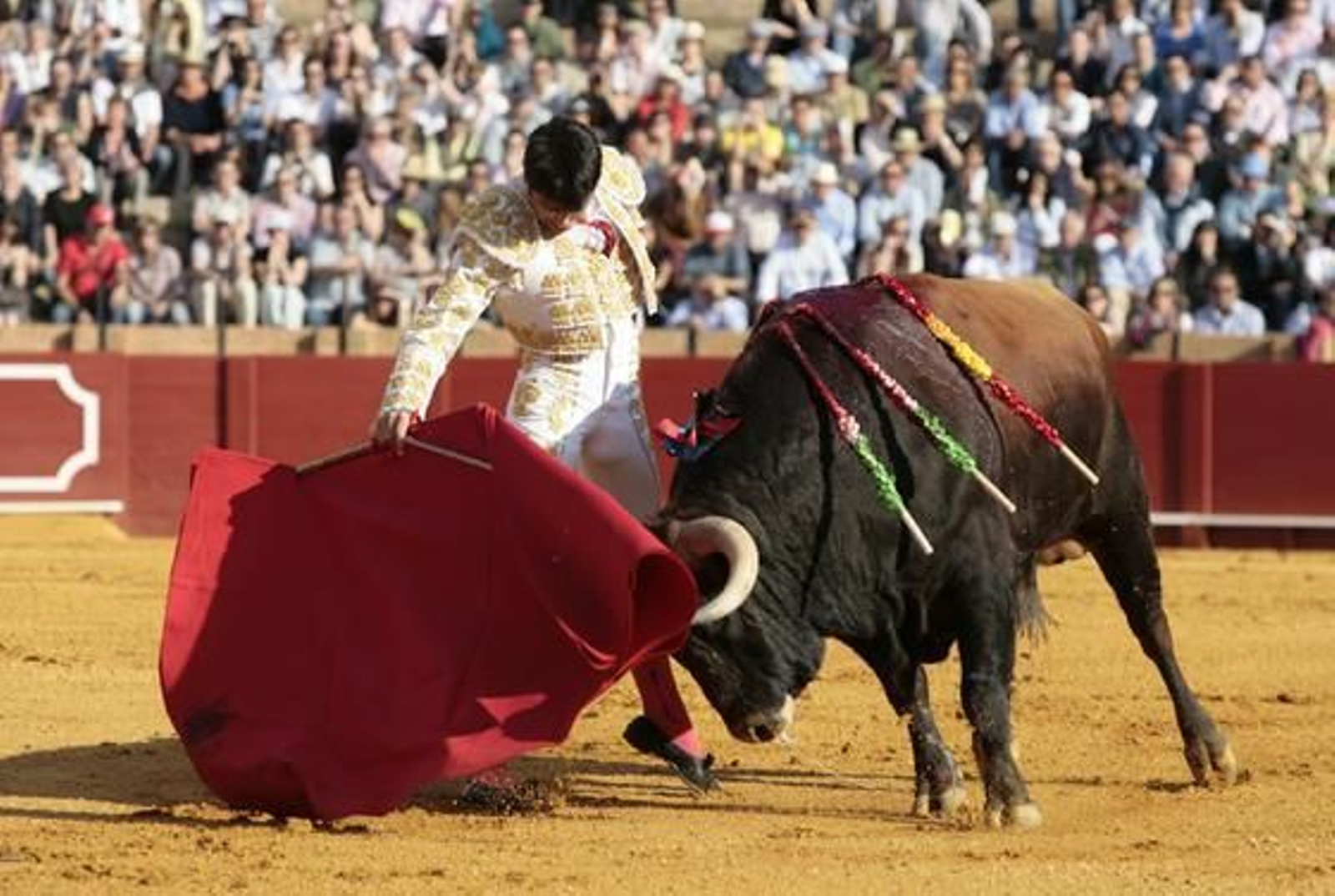 Salvador Vega, con el capote y la muleta.

Foto: Juan Carlos Muñoz