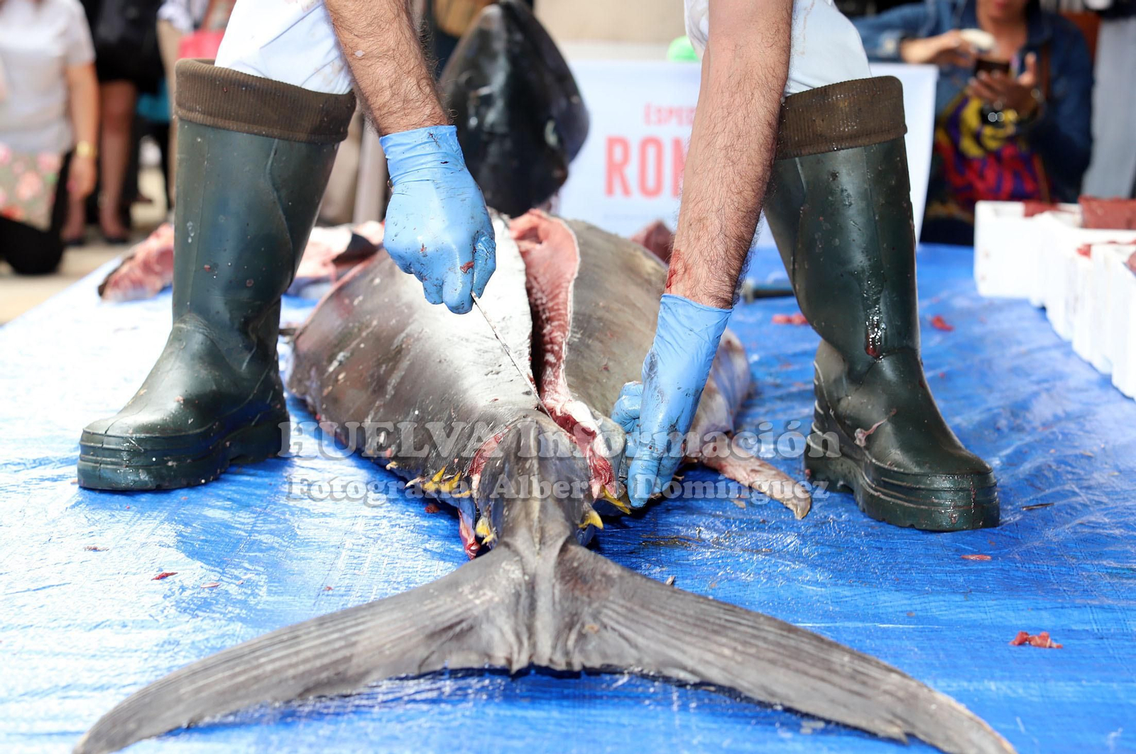 Imágenes del Ronqueo del Atún en el mercado de Huelva