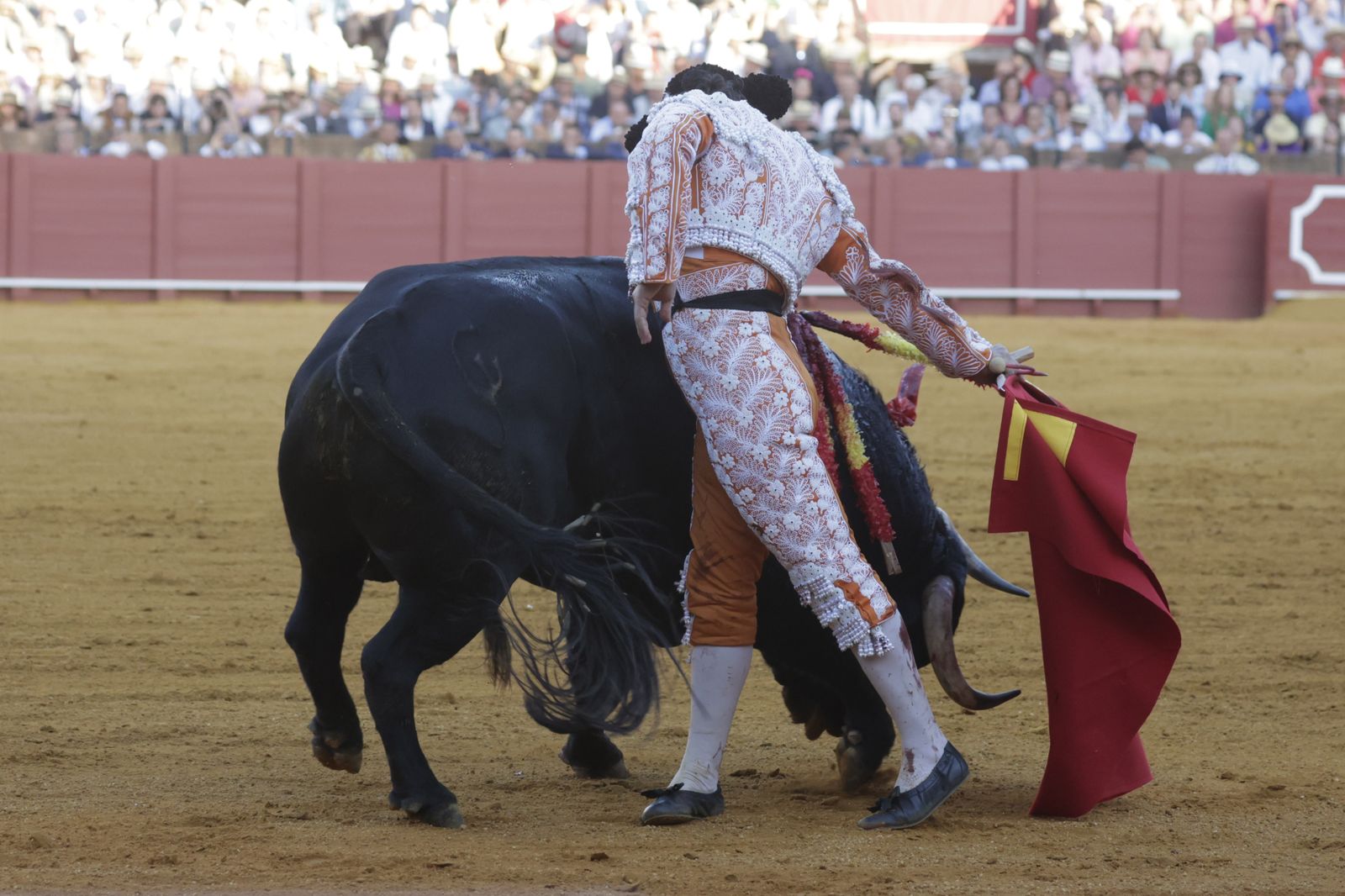 Las imágenes del festejo