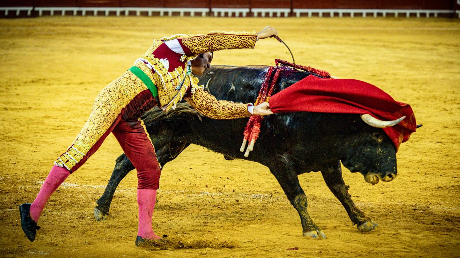 Las imágenes de la corrida de toros en El Puerto: Morante, Talavante y Juan Ortega