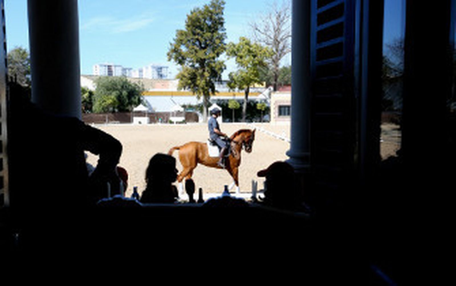 La doma clásica vuelve a la Real Escuela con los mejores de Europa