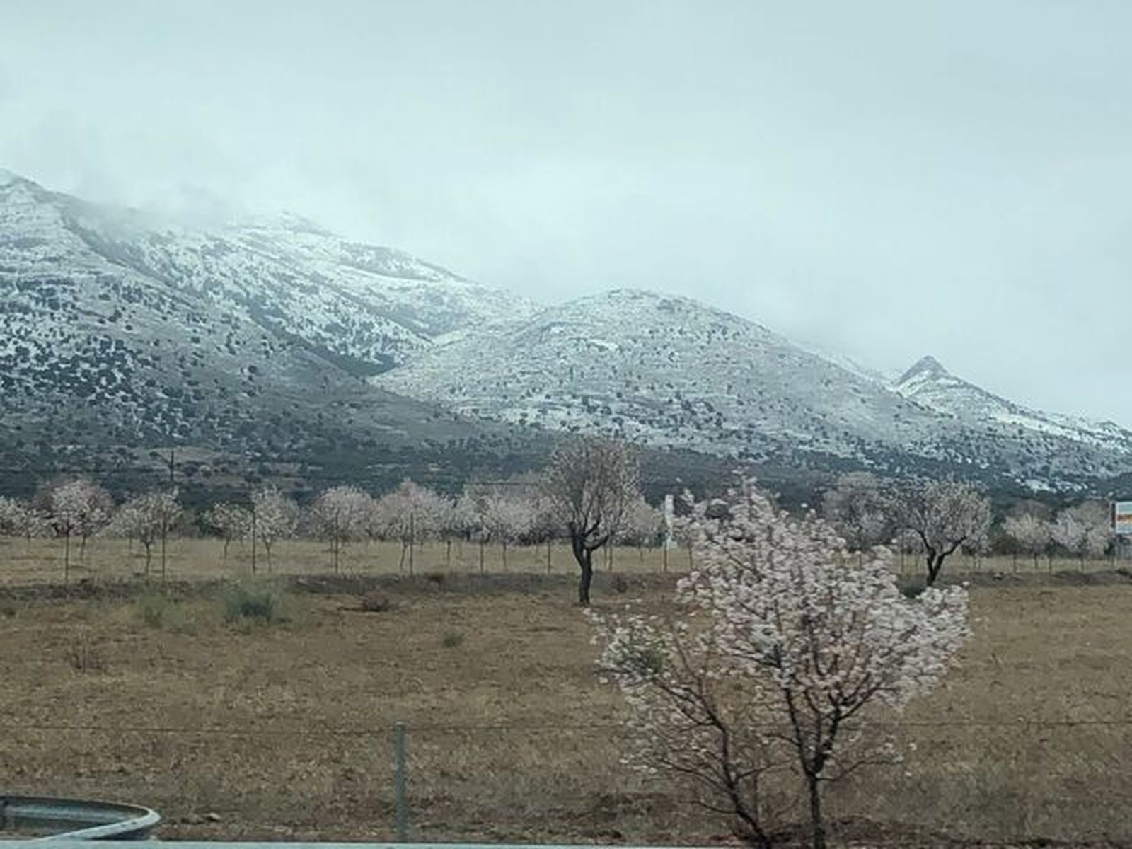 Dos estaciones que luchan por la supremacía