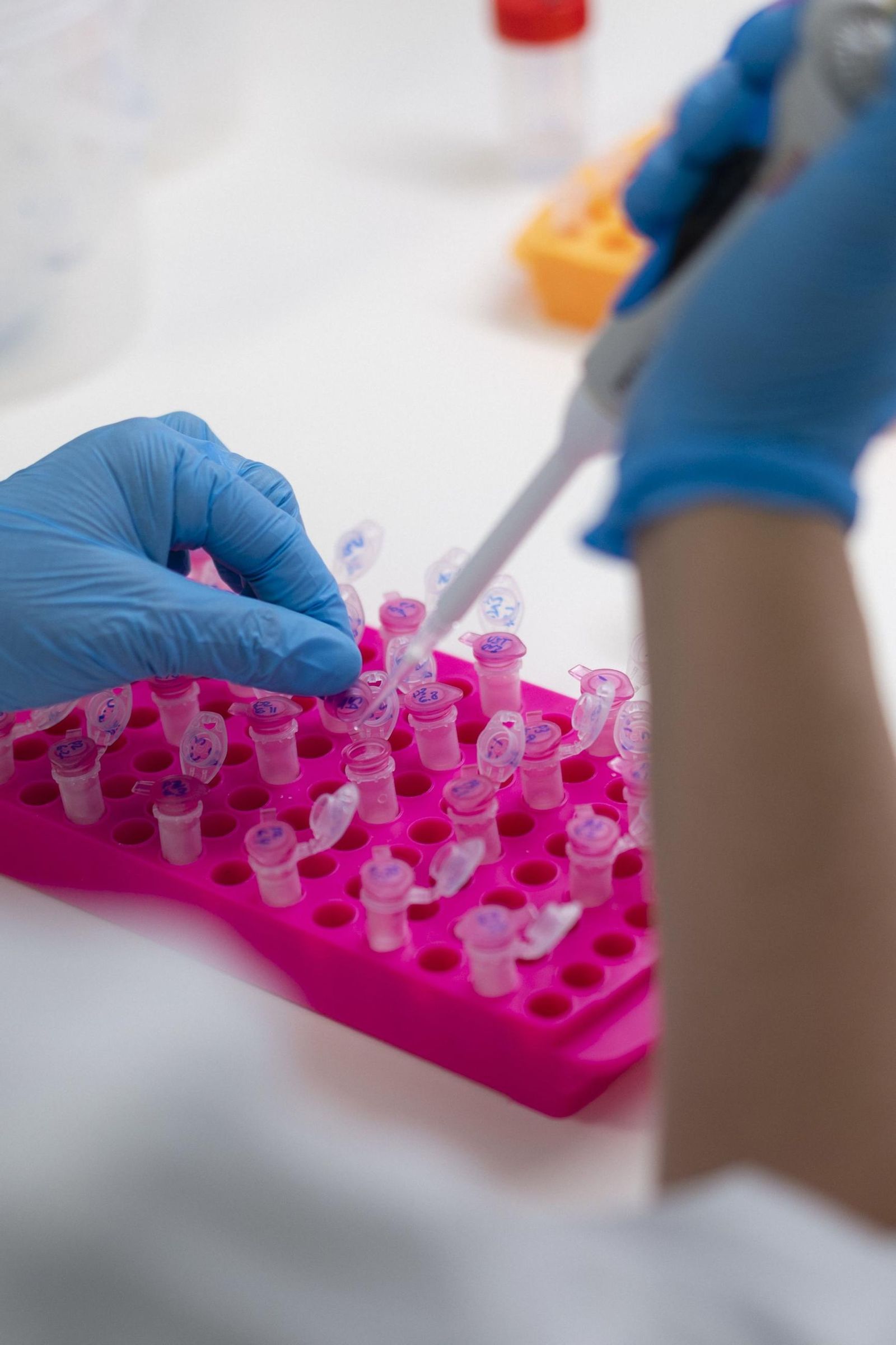 Sevilla se convierte desde hoy en la capital europea de la inmunización