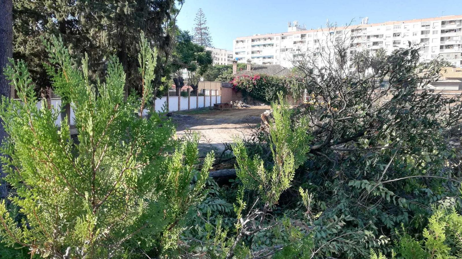 Estado en el que ha quedado la parcela número 38 del paseo de la Palmera.