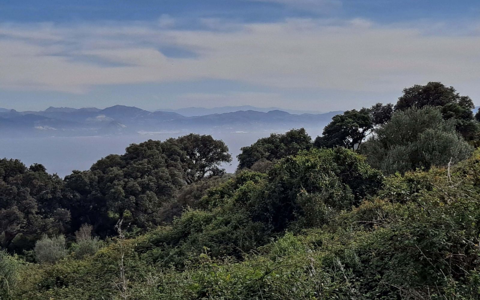 Fotos de la ruta de El Bujeo en Algeciras