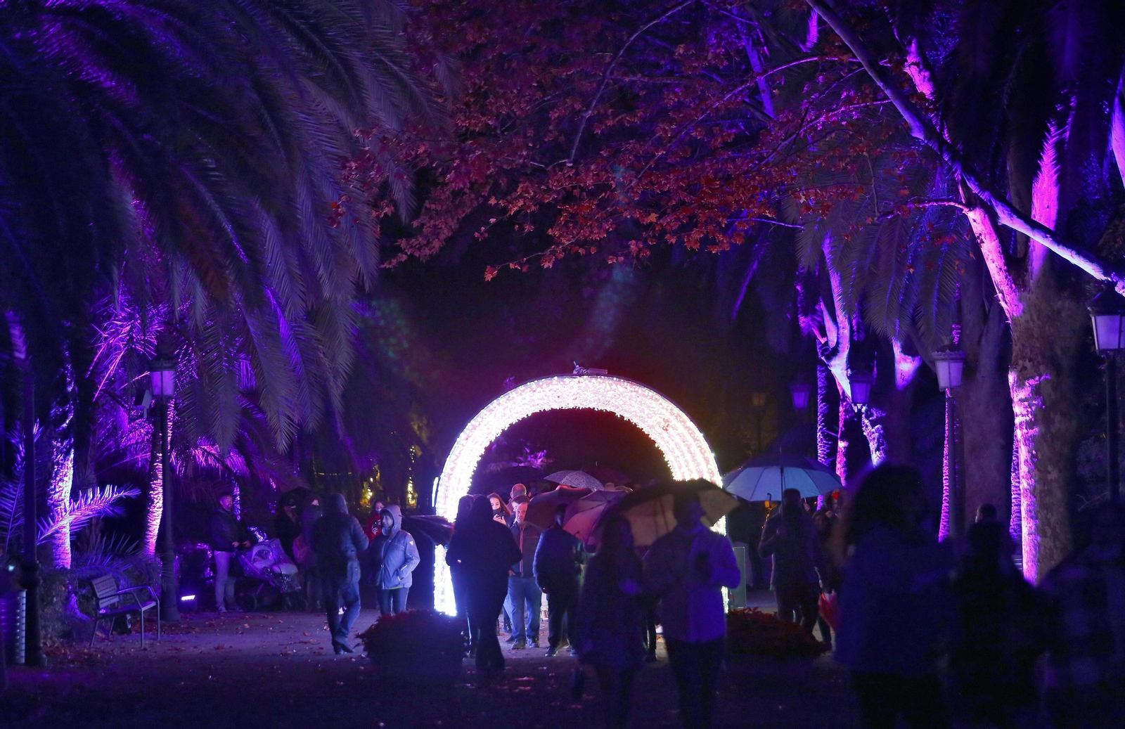 Las luces del Jardín Botánico de Málaga, en fotos