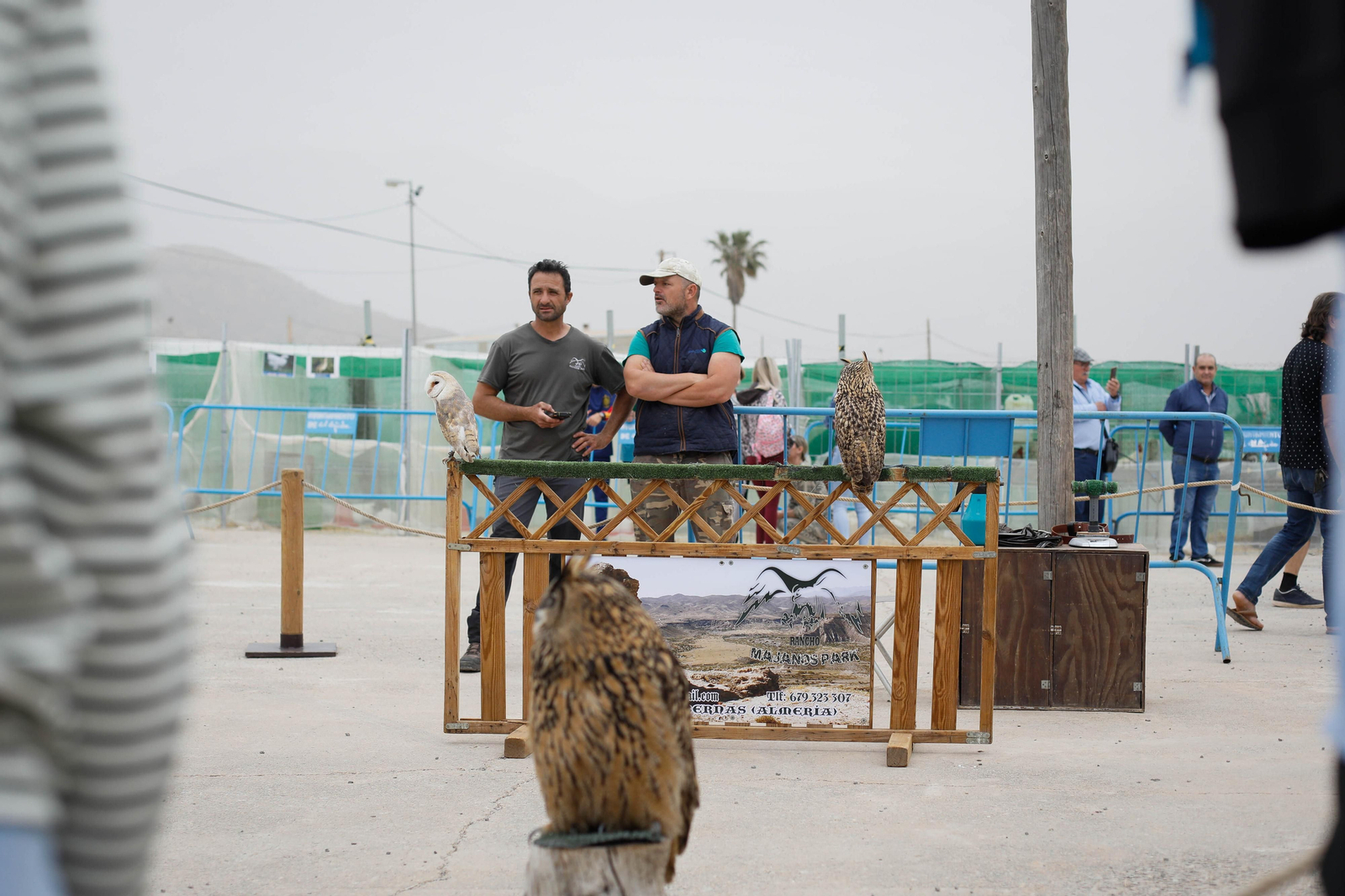 Galería de la Feria  de ganado en Tarambana