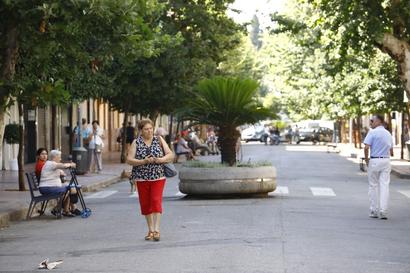 Personas en la avenida de la Viñuela.