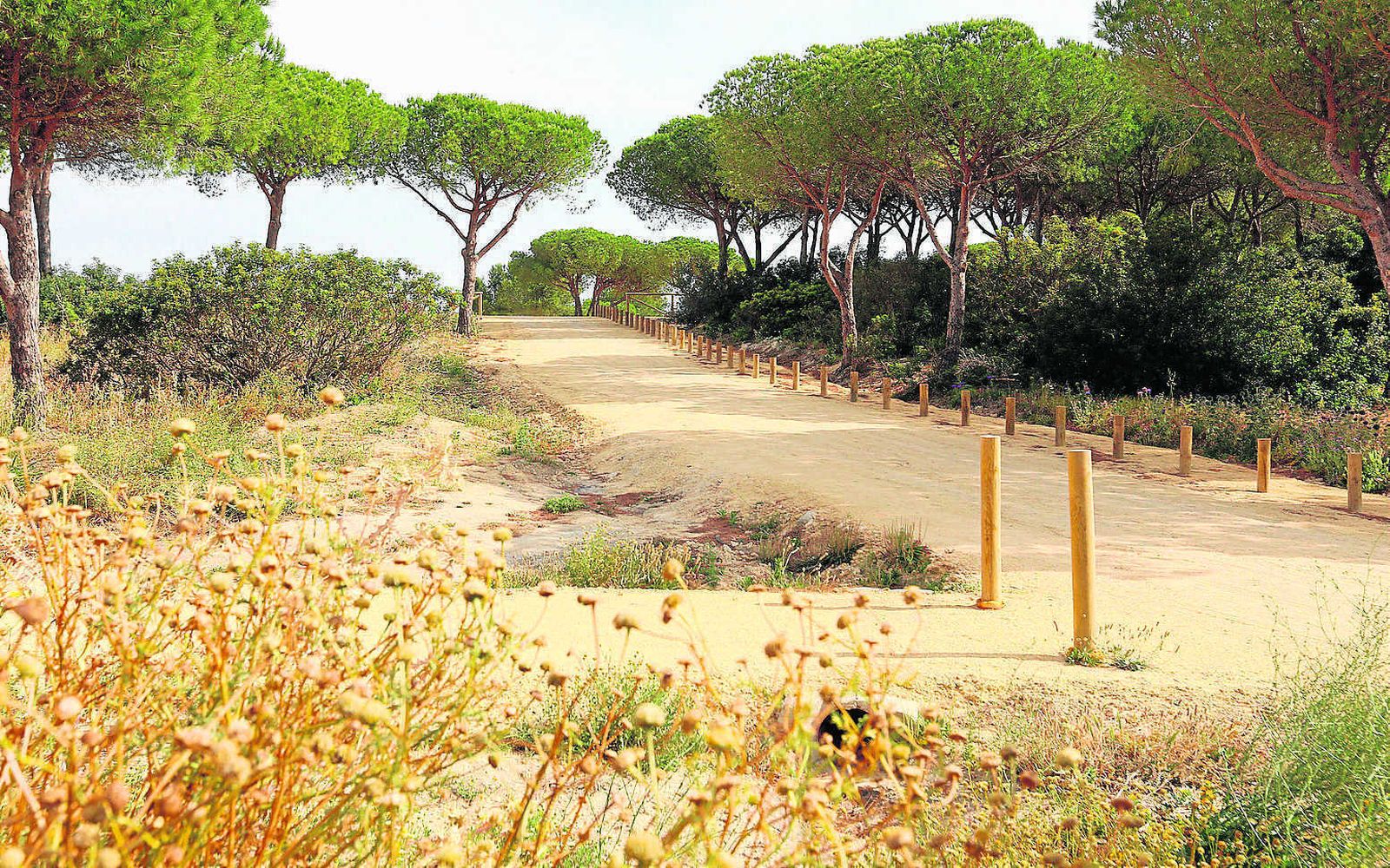 Parque de la Loma del Puerco donde se encuentran hasta seis variedades diferentes de narcisos.