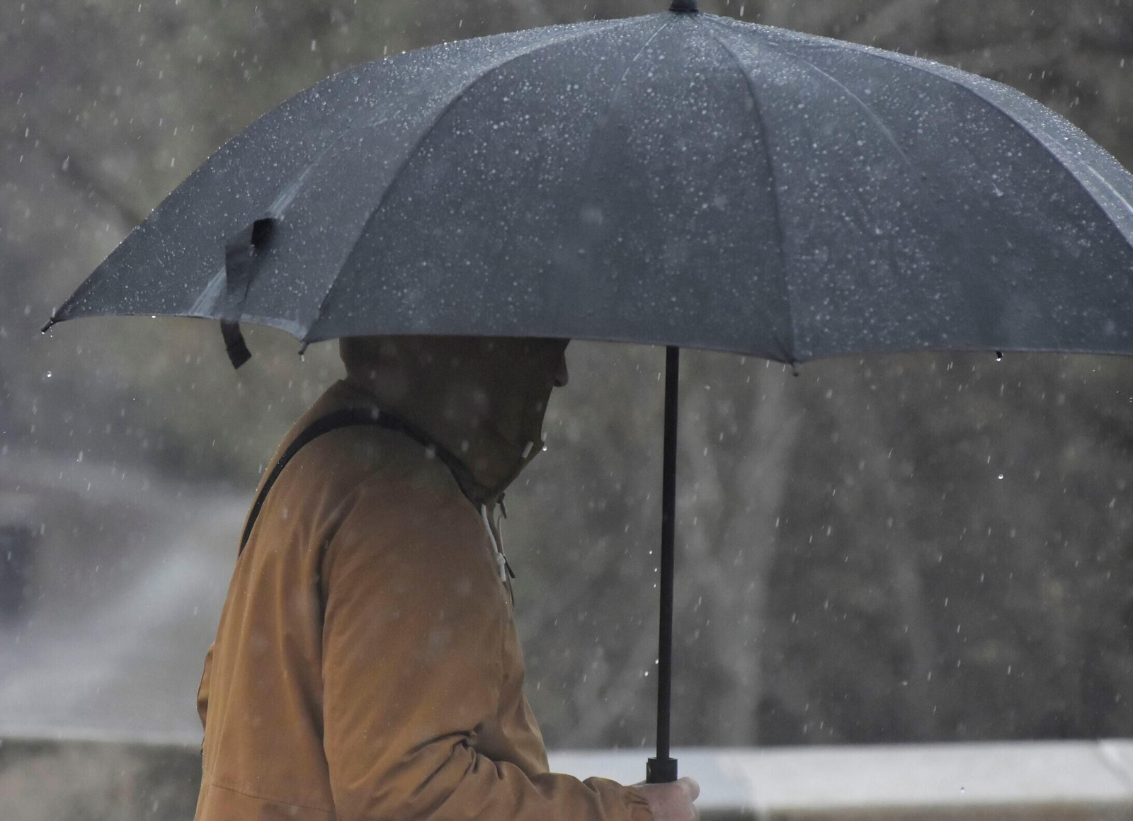El paso de la borrasca Karlotta por Córdoba, en imágenes