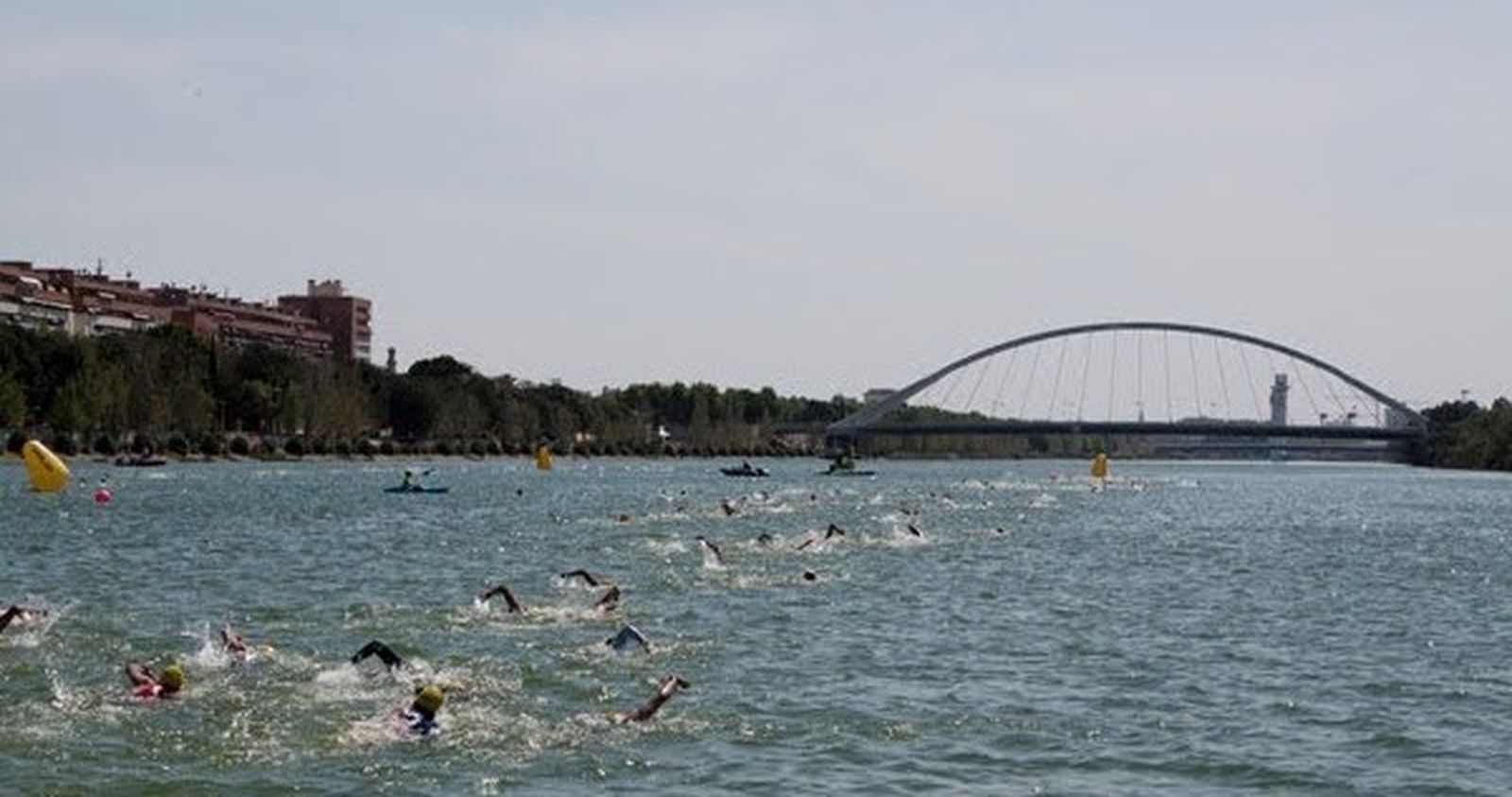 Una imagen de una prueba de aguas abiertas en el Guadalquivir.