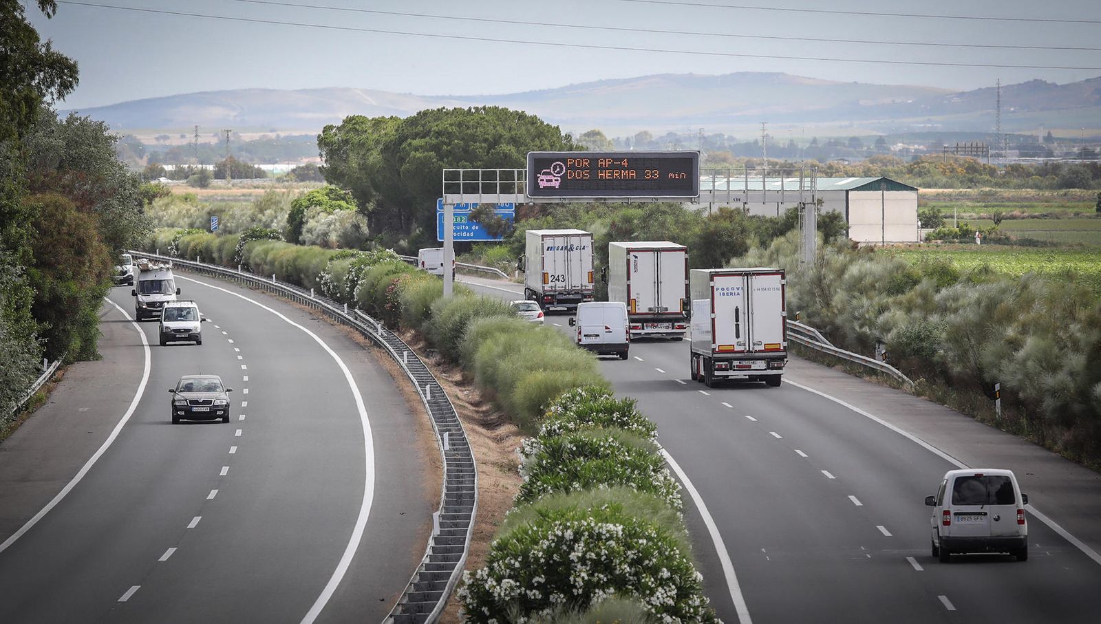 Coronavirus, imágenes del lunes 8 de junio en Jerez
