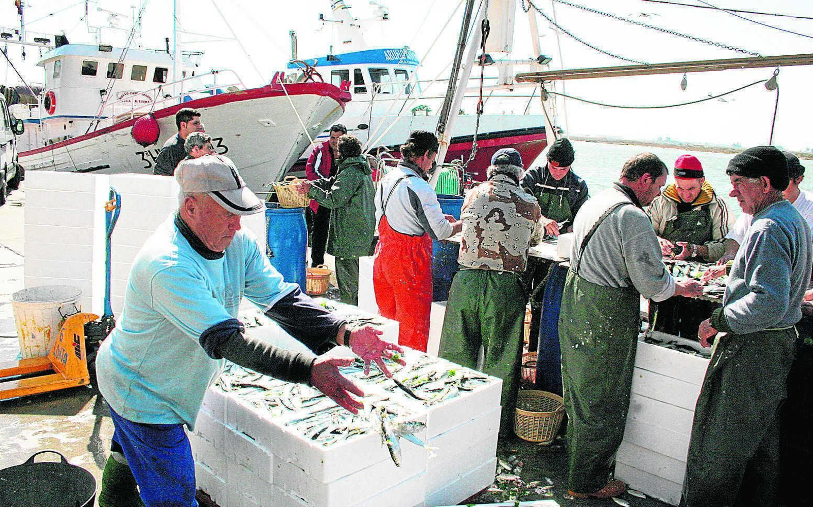 Un pescador descarga sardinas en el puerto onubense de Isla Cristina.